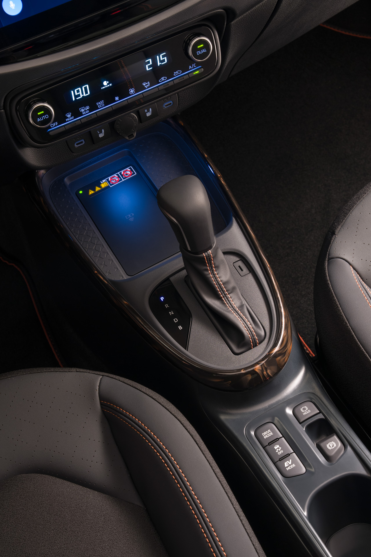 アイゴXハイブリッド