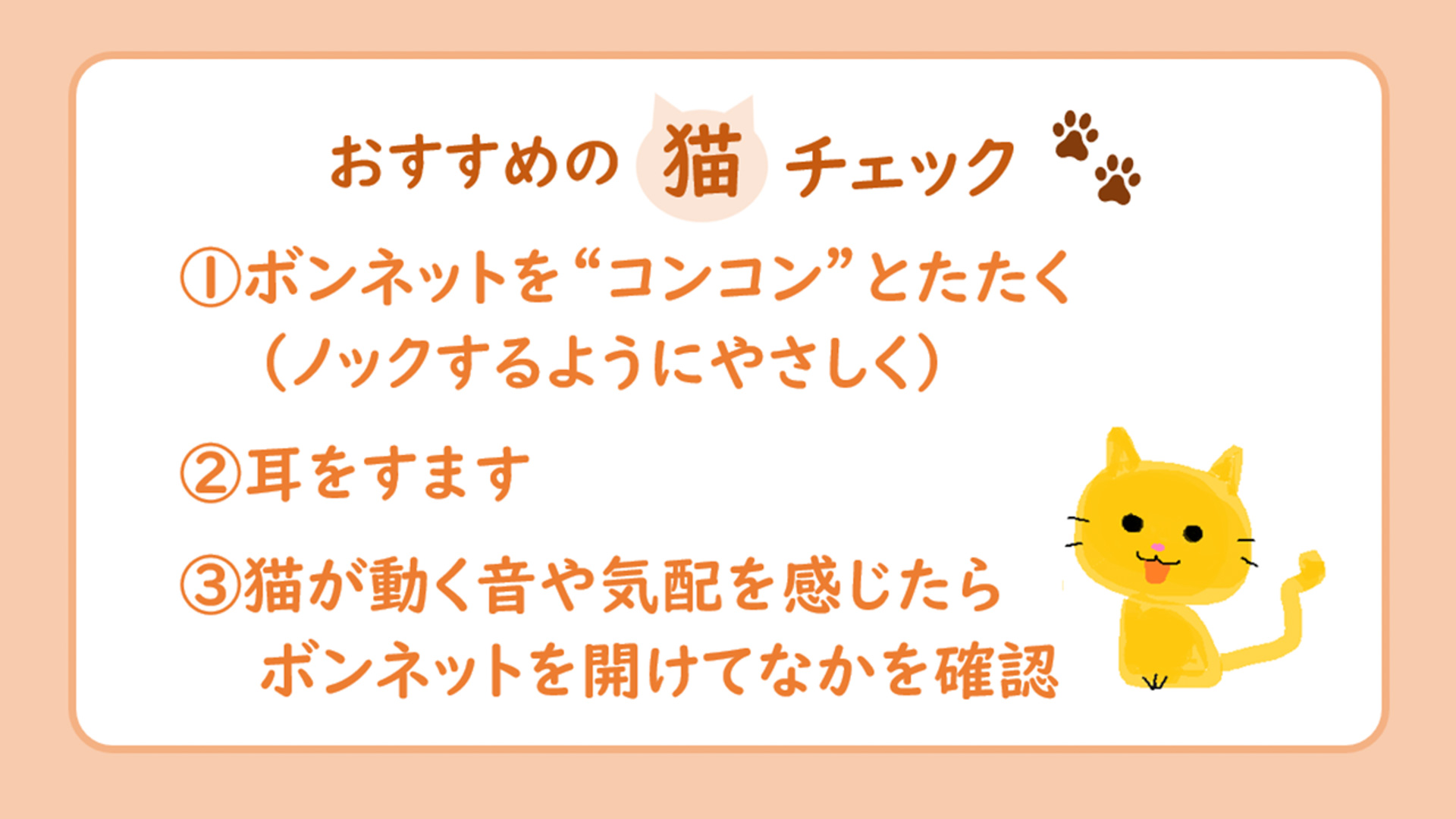 出発前の「猫チェック」で、安心のドライブ