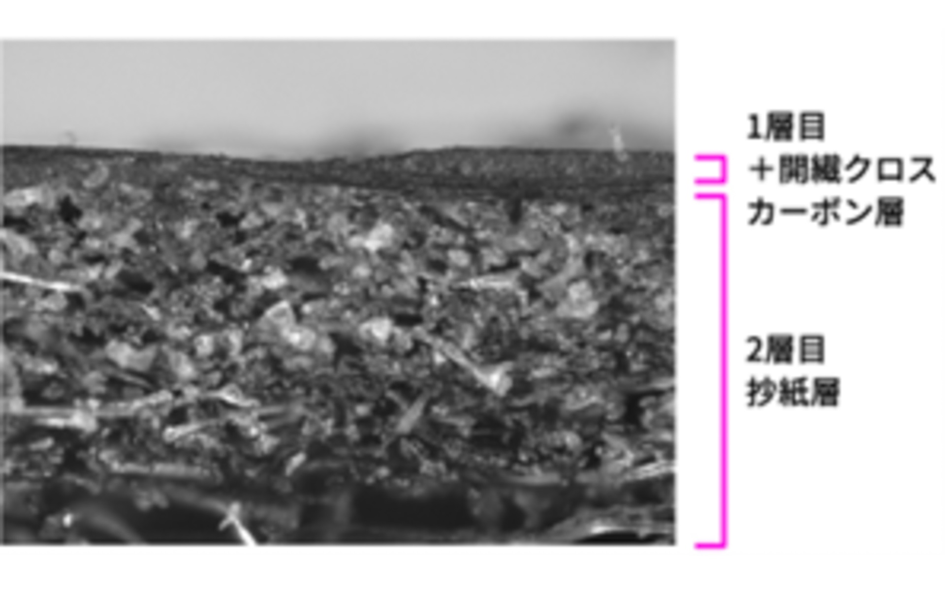 2層構造開繊カーボン振動板の断面図