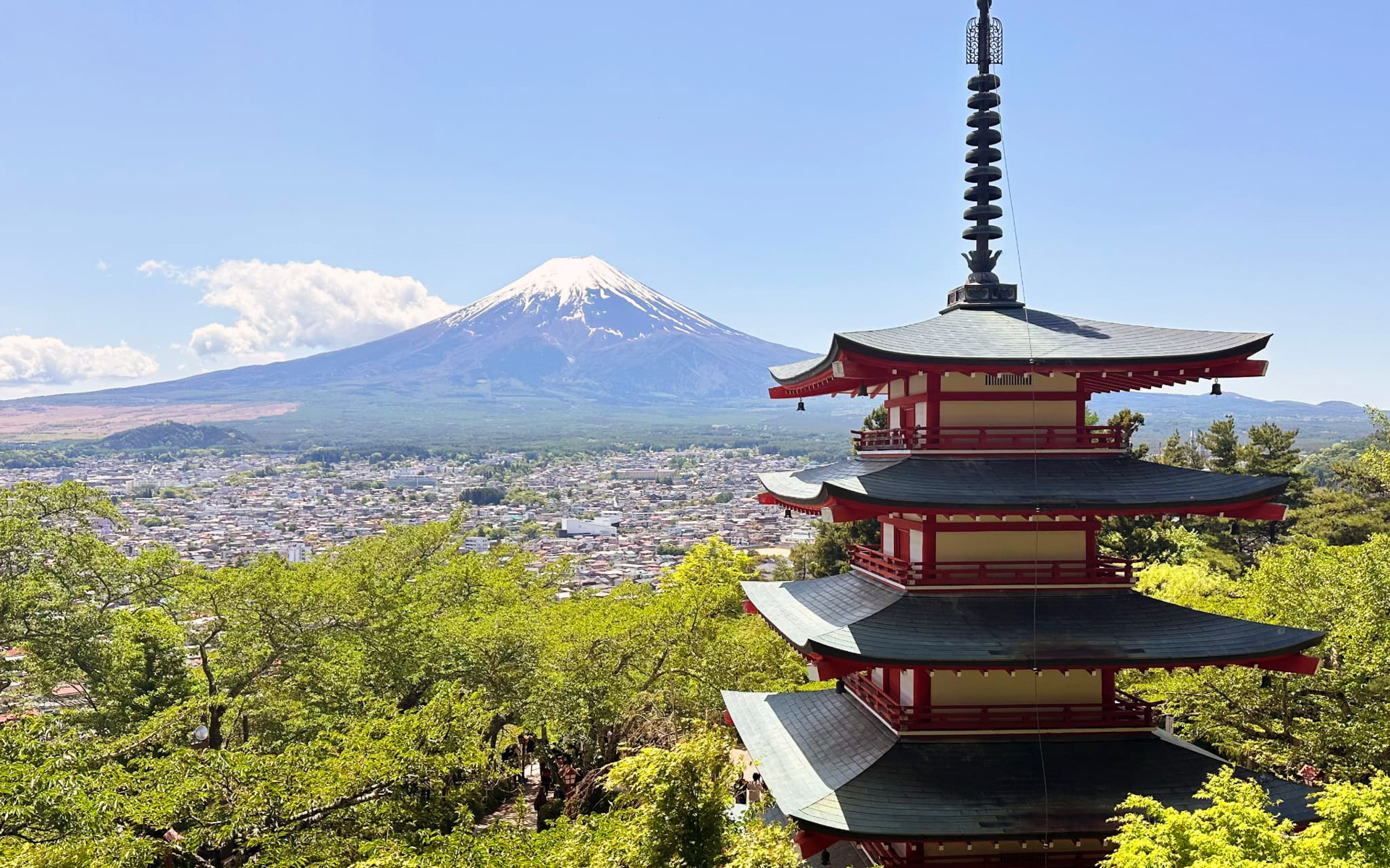 夏の新倉山浅間公園