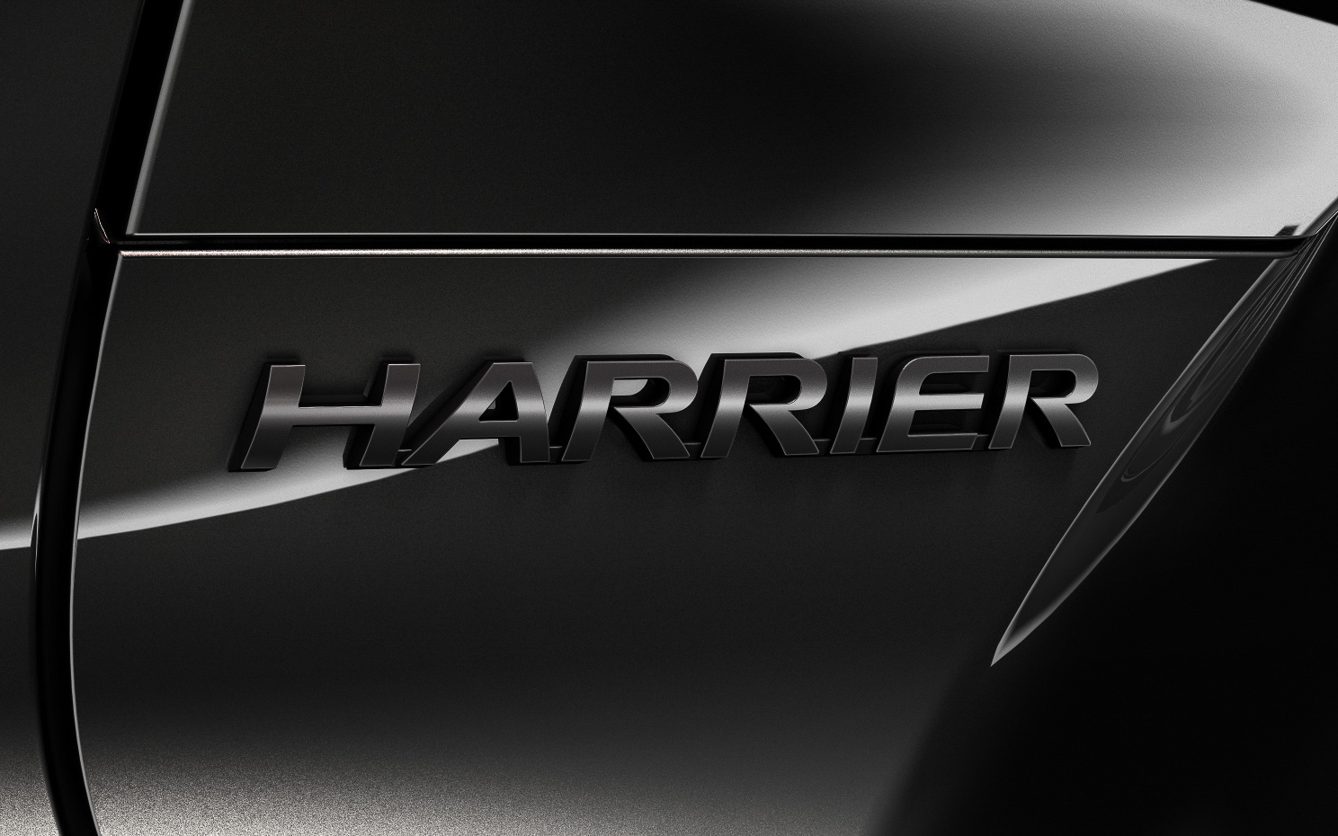 車名エンブレム（ブラック塗装）