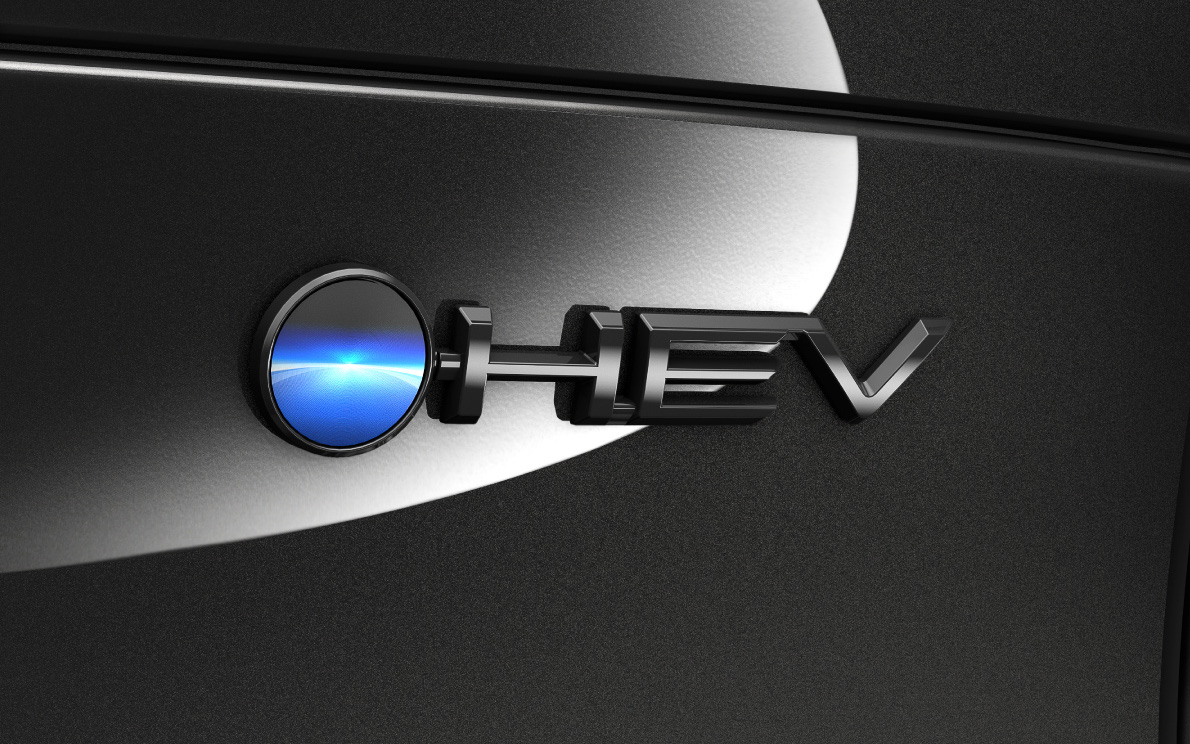 カーボンニュートラルバッヂ（ブラック塗装）