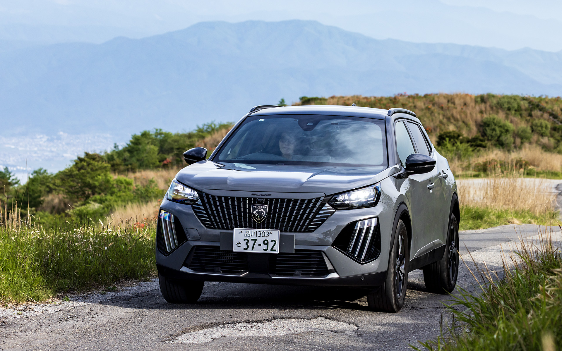 高原の大自然の中を俊敏に走る“小さなライオン”