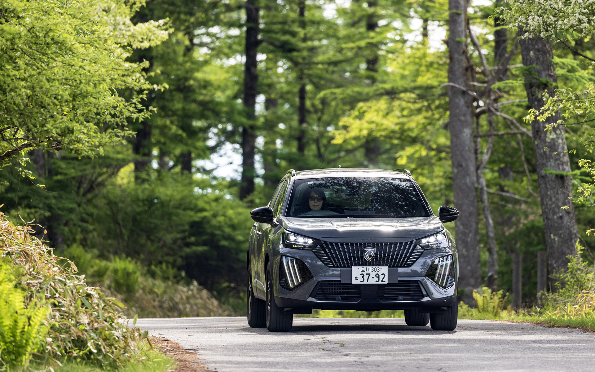 高原の大自然の中を俊敏に走る“小さなライオン”