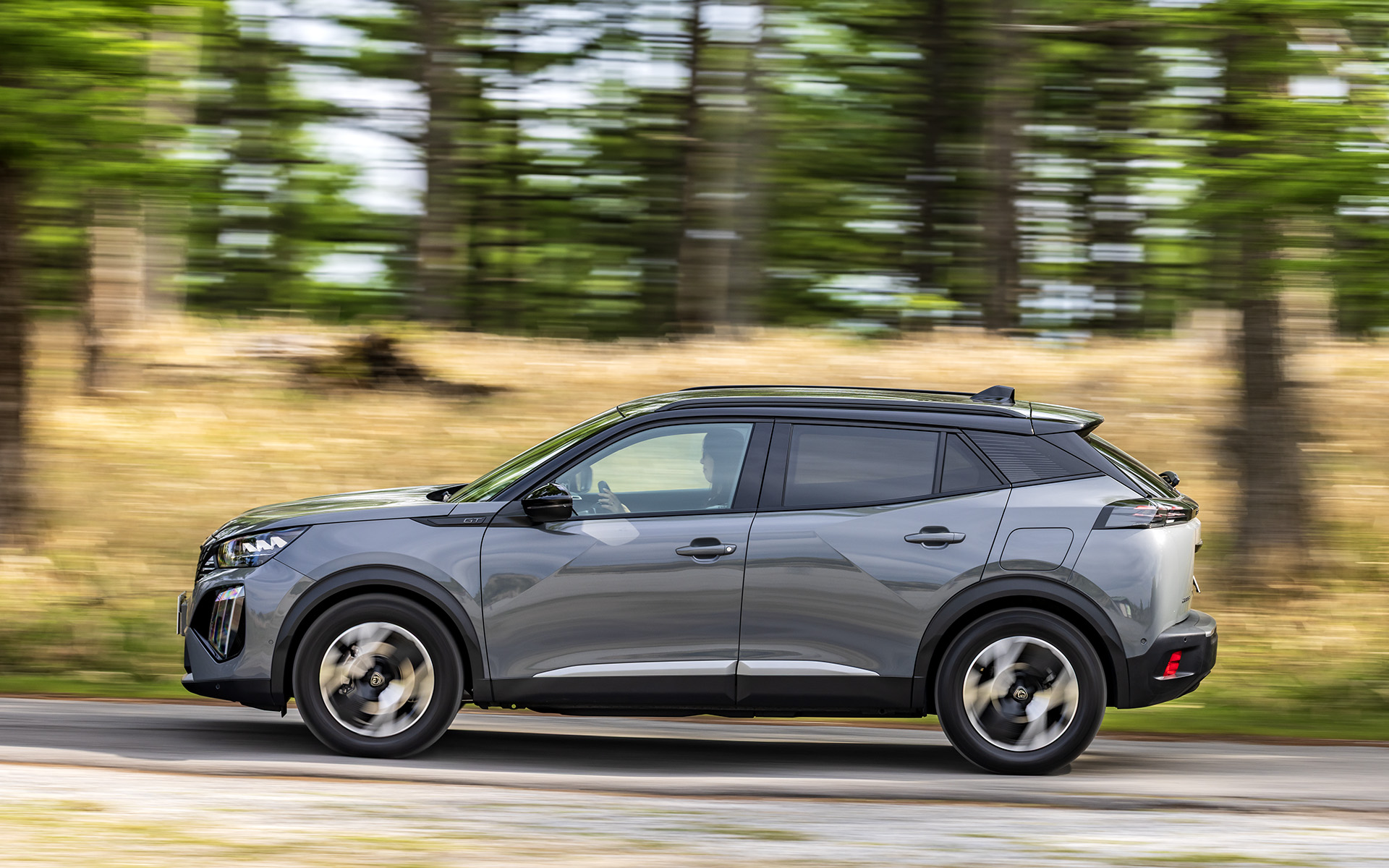 高原の大自然の中を俊敏に走る“小さなライオン”