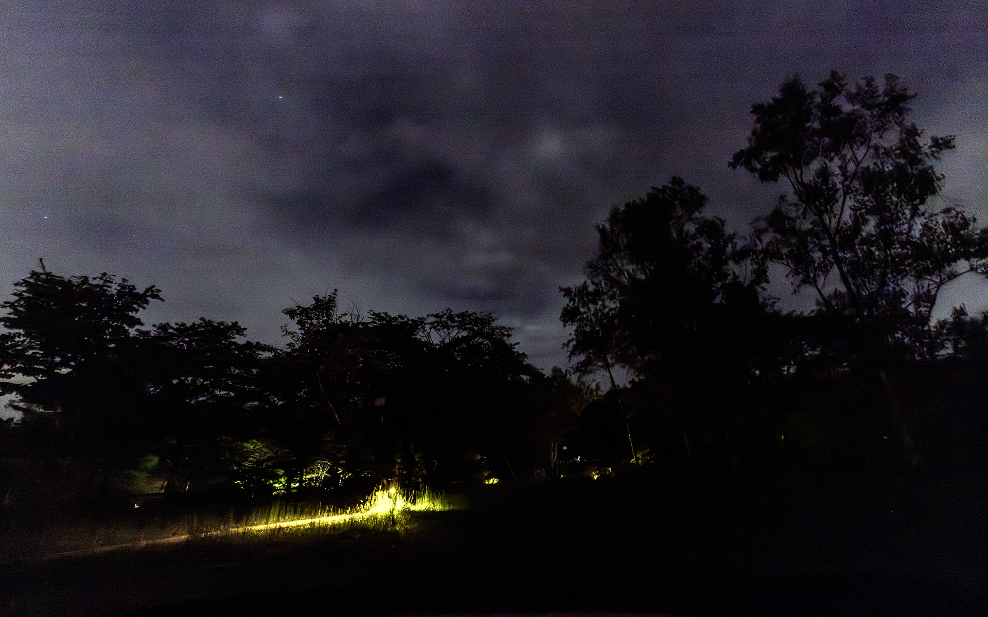 星空ガイドさんの話を聞きながら、真っ暗な中で満点の星を観賞……とはいかなかったものの、雲の間からぽつり、ぽつりと星が見えた