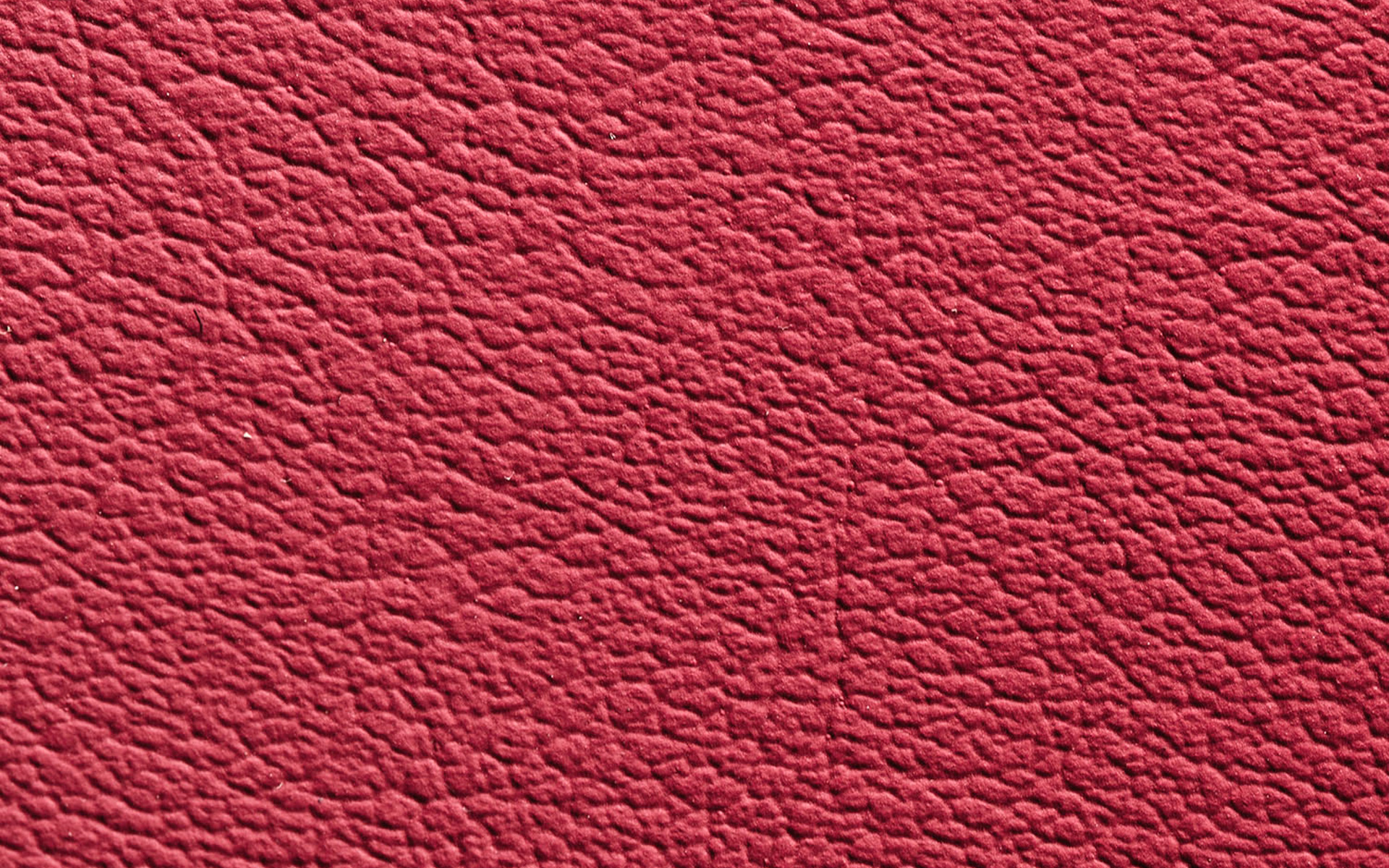 特別仕様車“Climax Edition”ウルトラスエード/L texスポーツシート（フレアレッド）