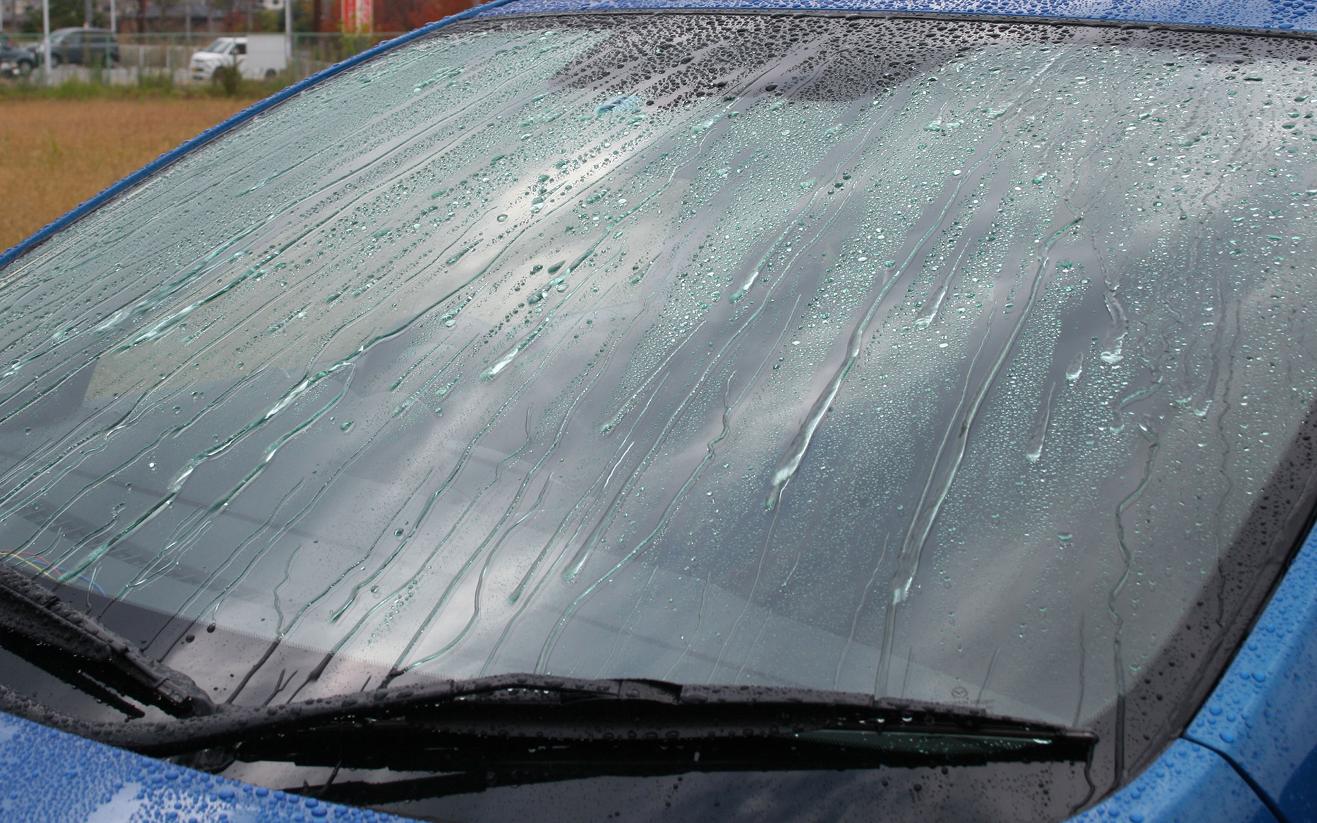 【窓・ガラス用】ぬりぬりガラコデカ丸。楽天販売価格1606円。どデカヘッドでスピーディに塗り込めるでっかいガラコ！