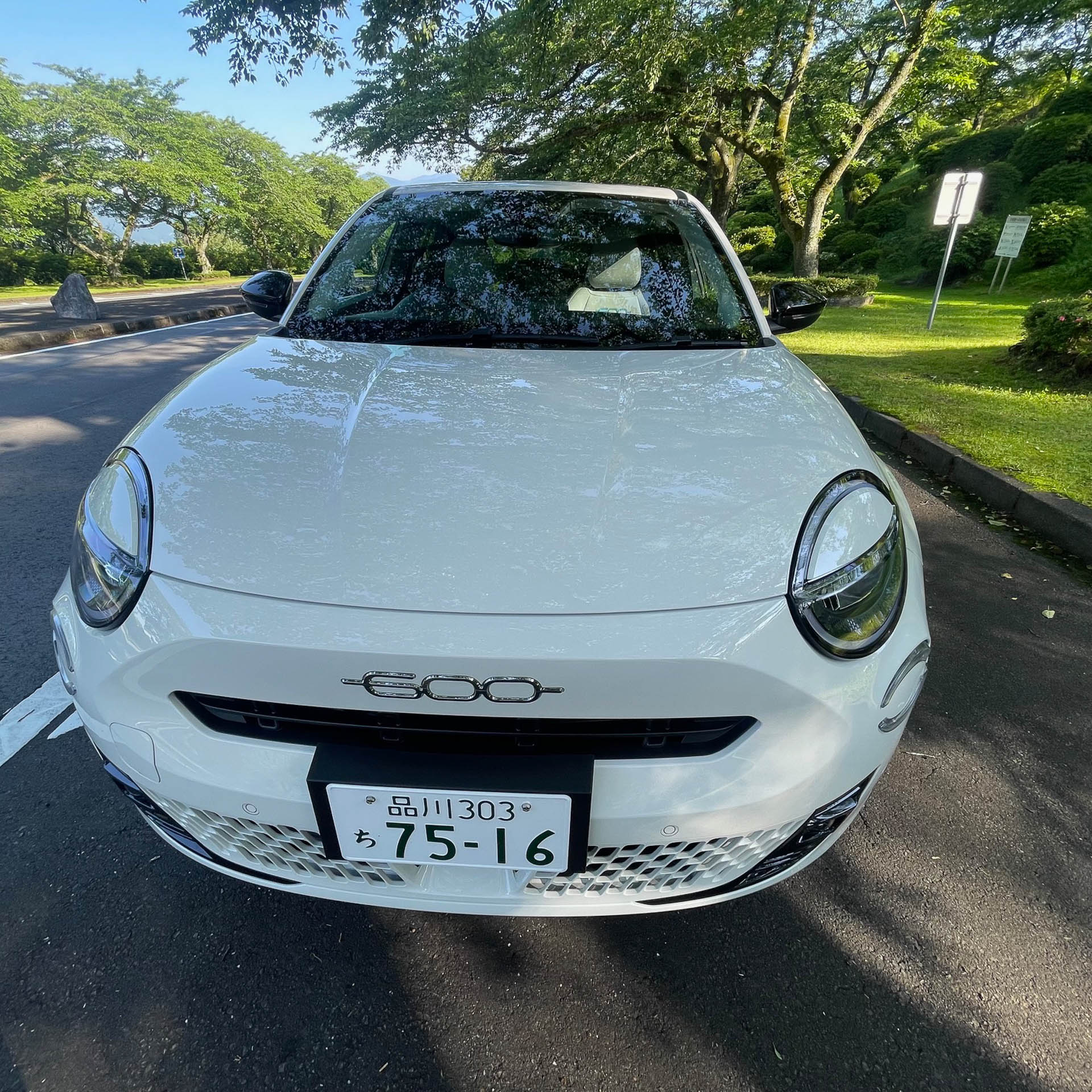 iPhoneで撮ったらワイド顔になってしまった。かわいくて頑張っている感じが独特の雰囲気を出している。デリ丸みたいだな