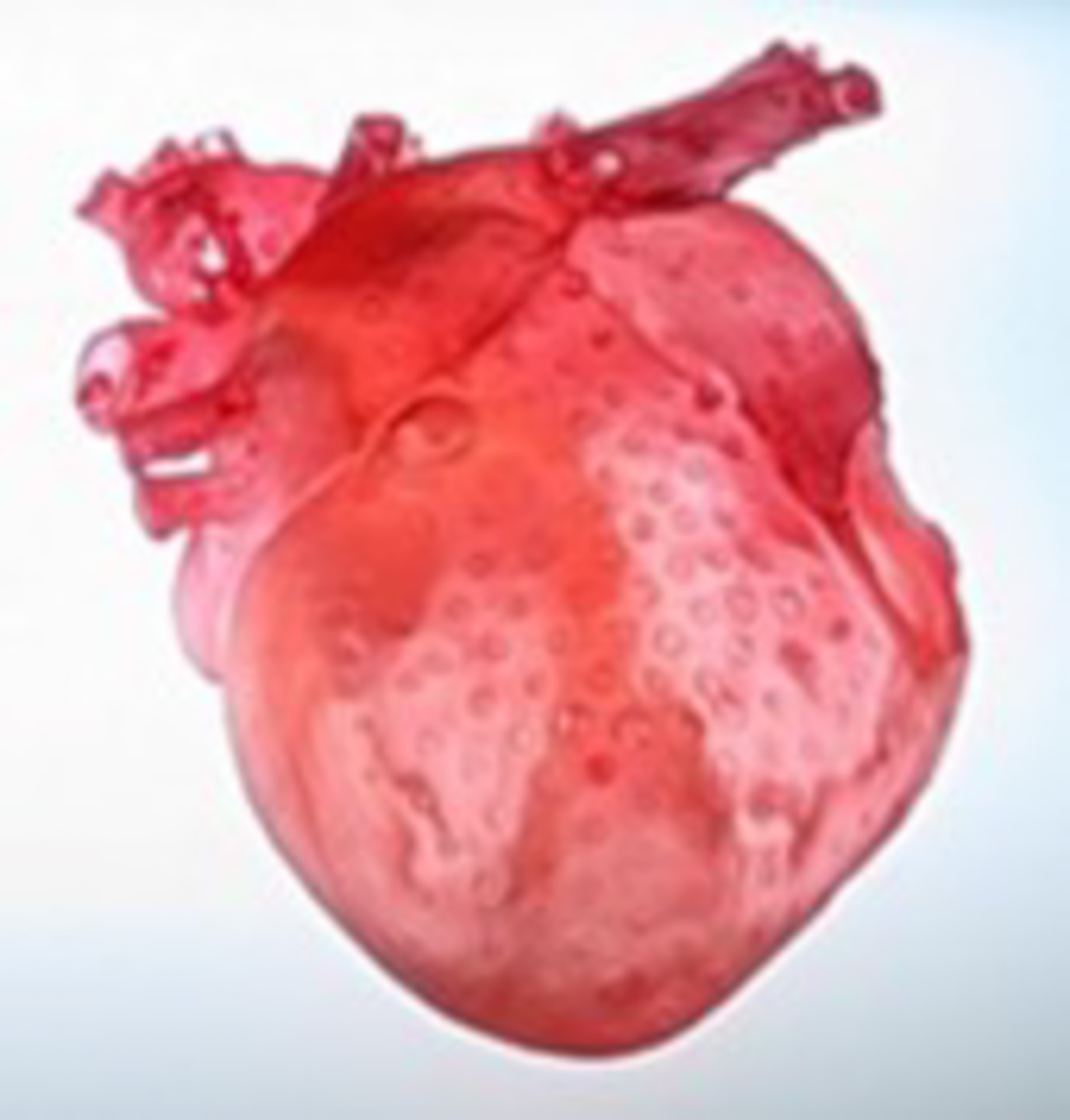 「心臓モデルの3D造形」