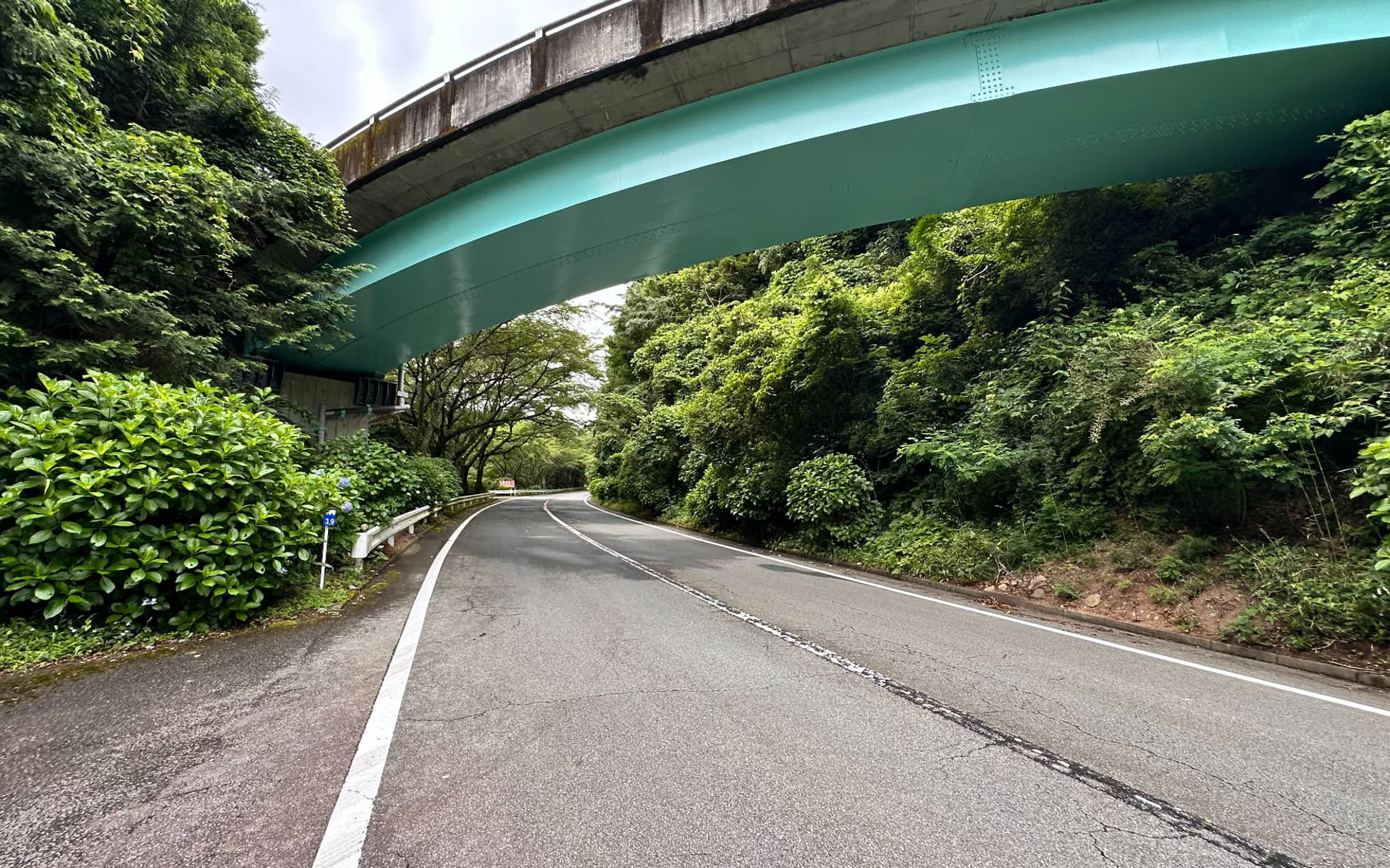 フォトスポットを巡りながら頂上を目指す