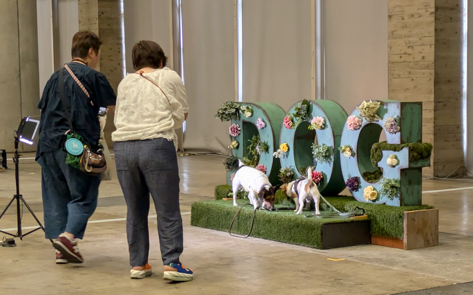 愛犬の写真が映えるフォトスポットが多数用意されている