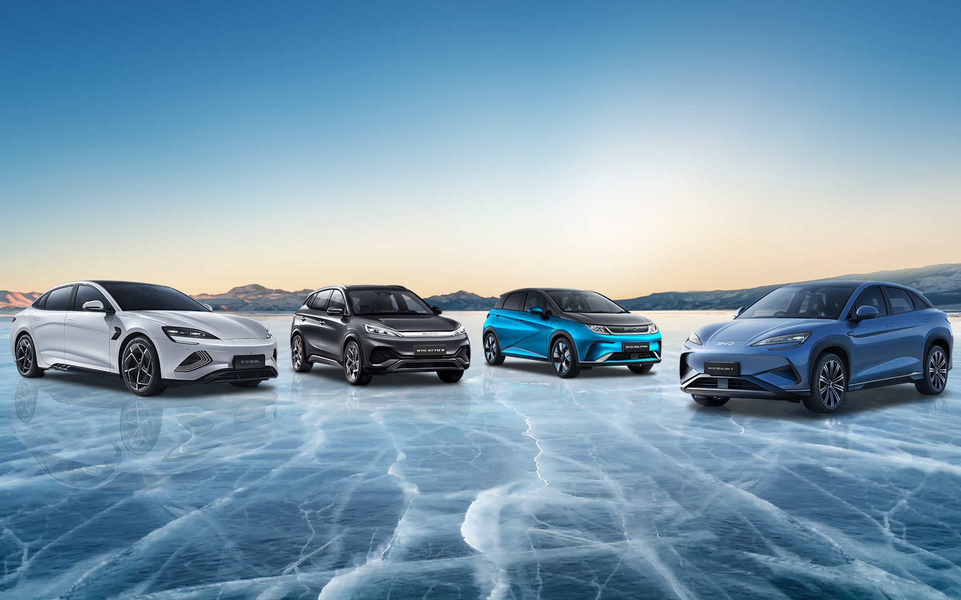 BYDが展開する4モデル。左から「SEAL」「ATTO 3」「DOLPHIN」「SEALION 7」