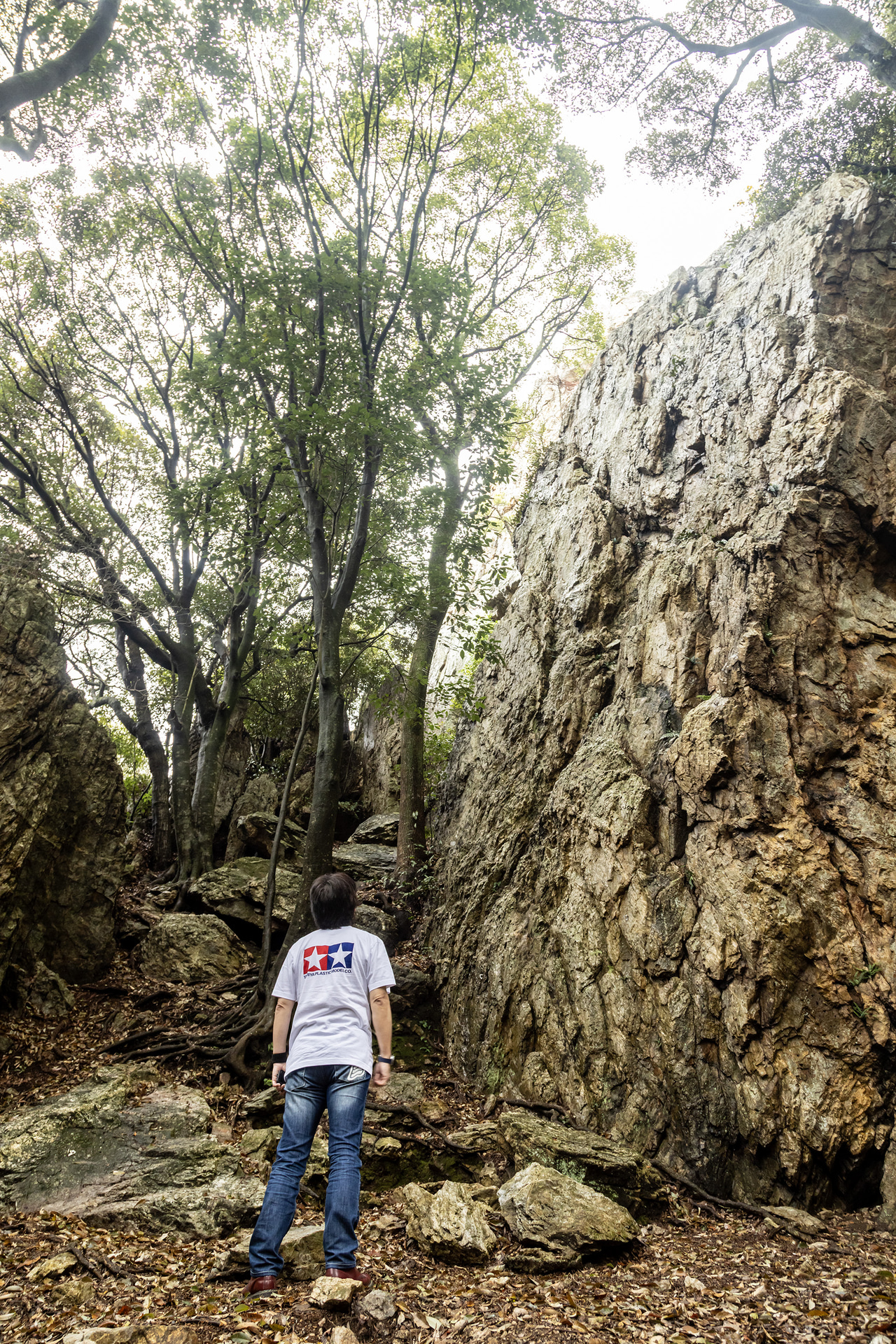 立岩は立ち入り禁止ではあるが、すぐ近くまでは行ける