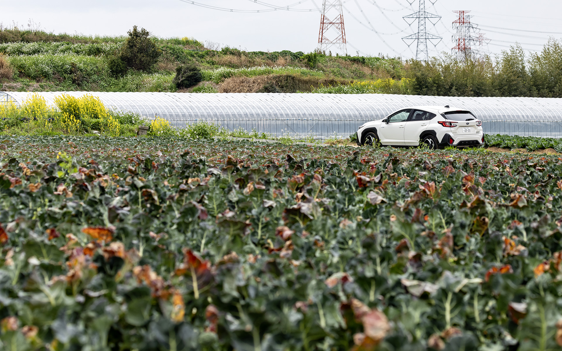 普段は走らない道を走り、いつもと違う景色を見られる楽しさがSUBAROADにはある