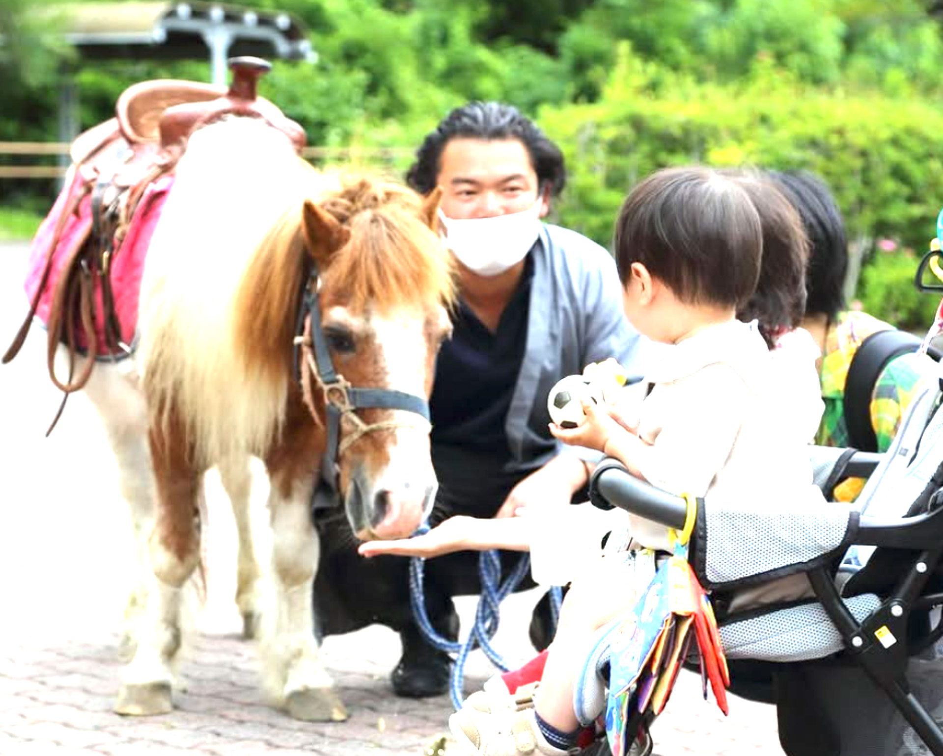 「フォレストホースパークサマーシリーズ＆フォレストホースパワー」モビリティの原点「乗馬体験」に加え、馬車で芝生広場を回遊できる「フォレストホースパワー」（馬車）を開催。ミニチュアポニーともふれあえる