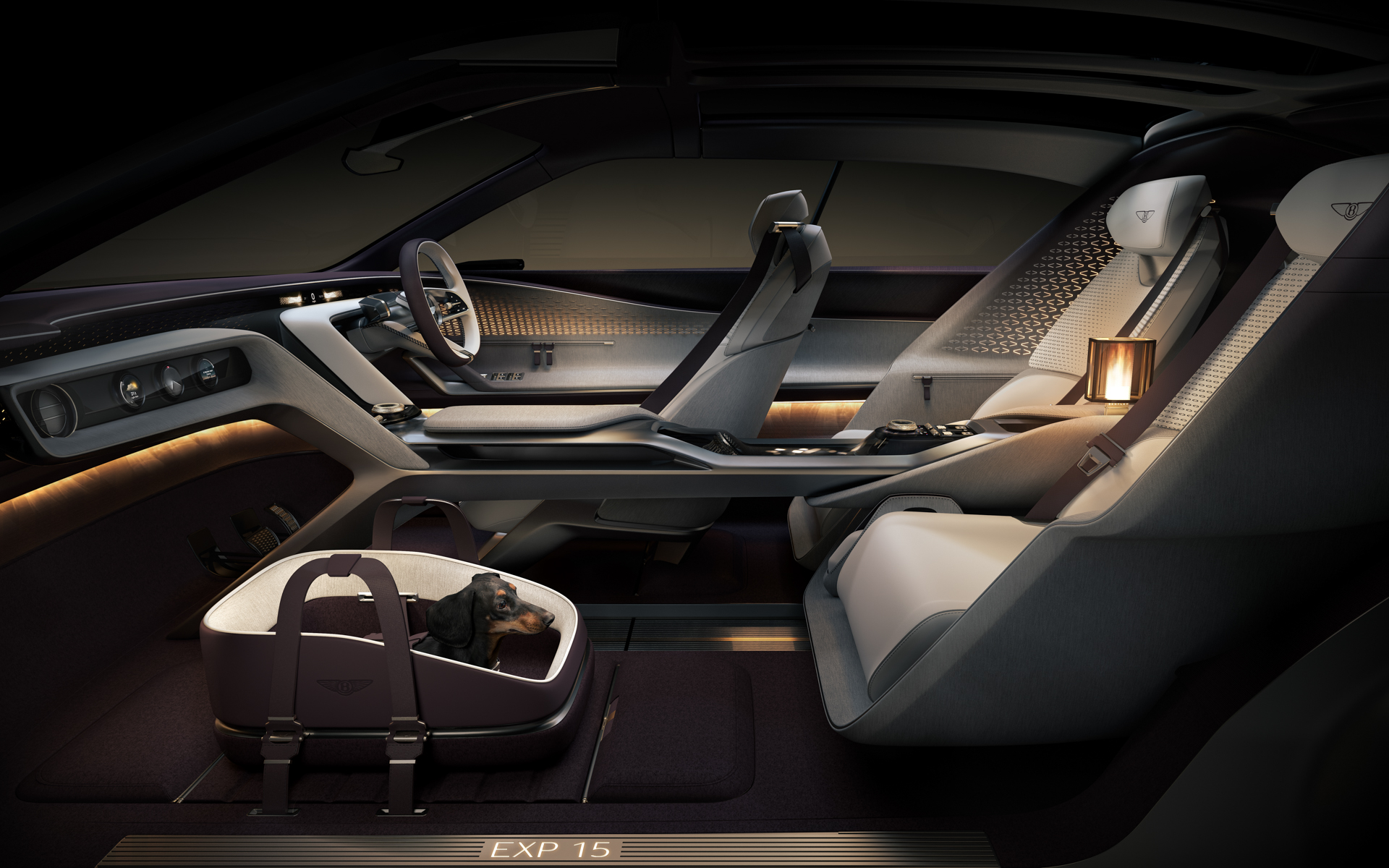 助手席の位置はペットや手荷物用の収納スペースが出現する