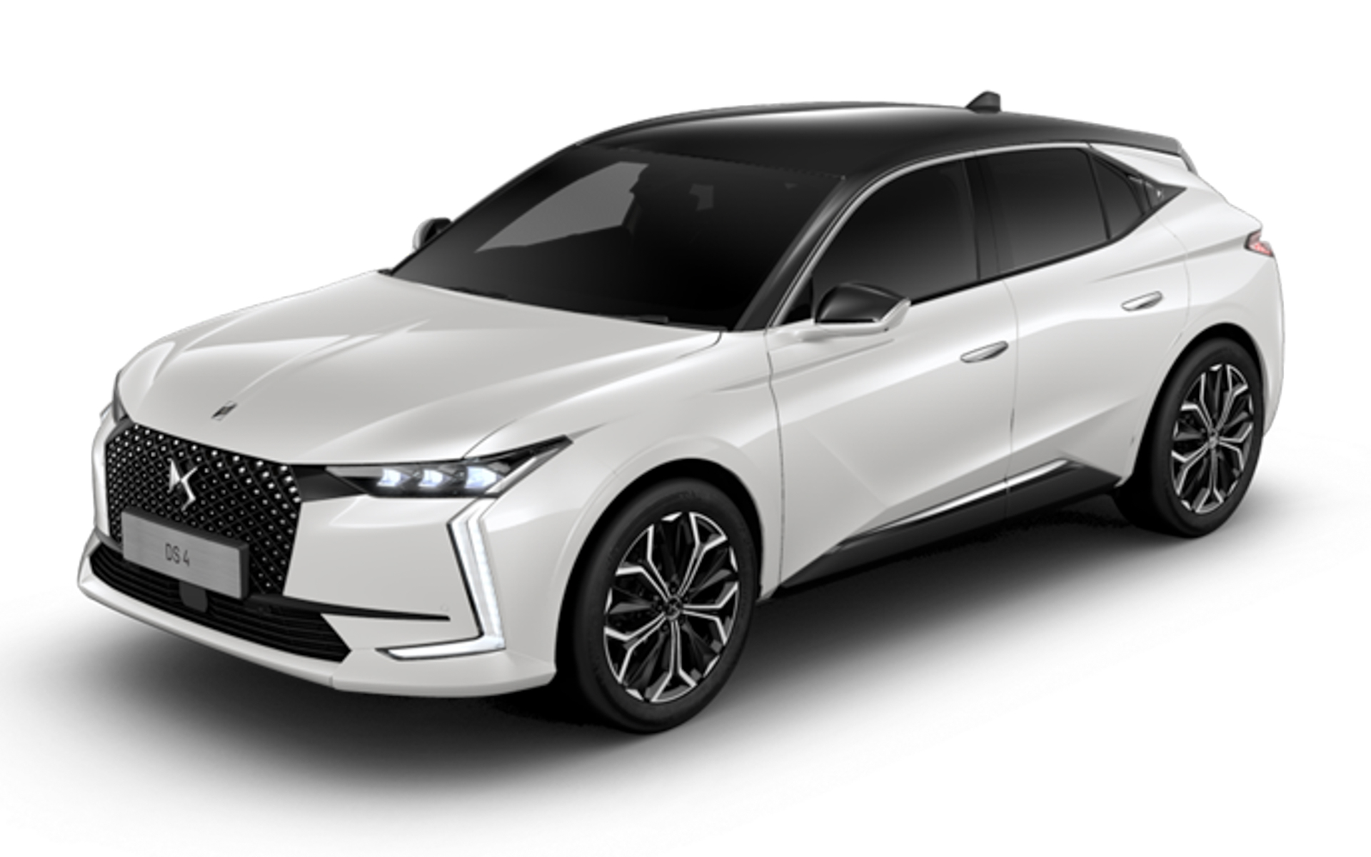 ボディカラー：ブランナクレ