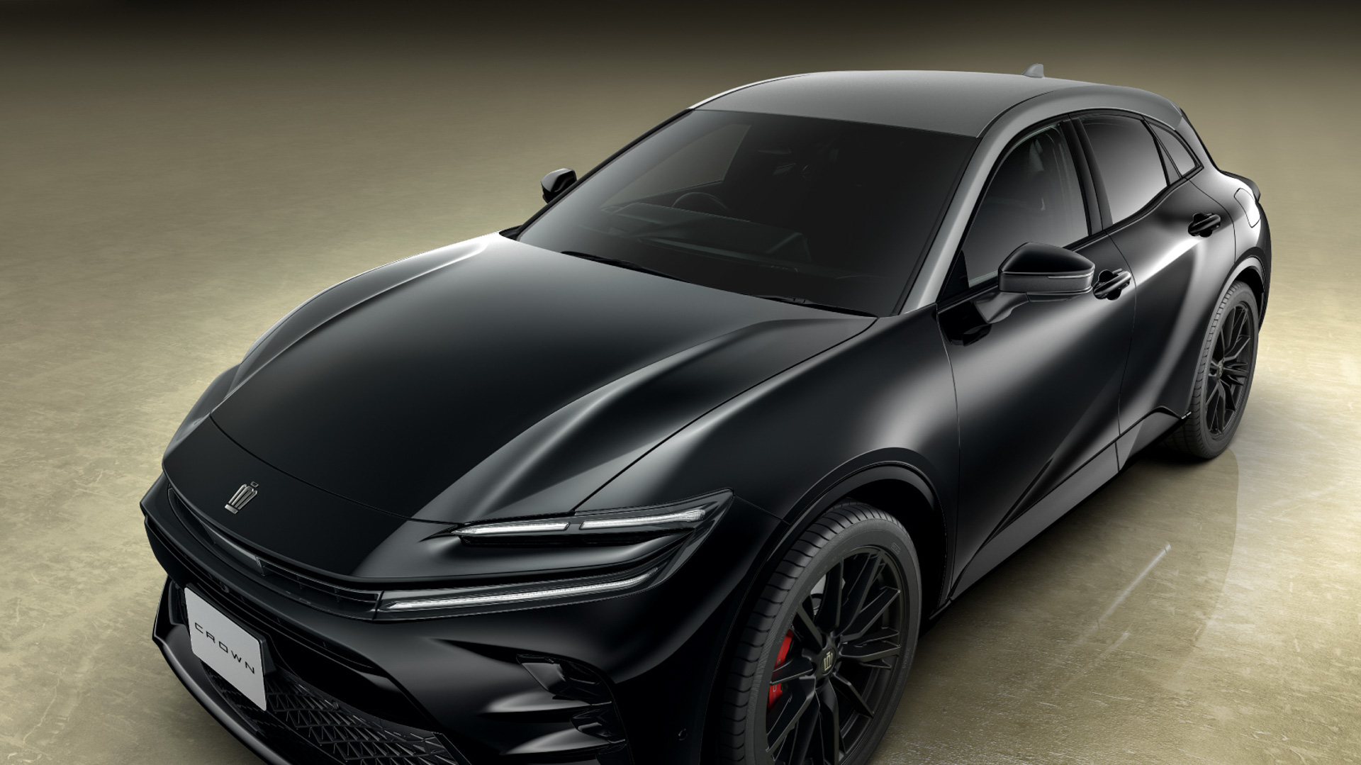 特別設定色（バイトーン）プレシャスメタル×ブラック