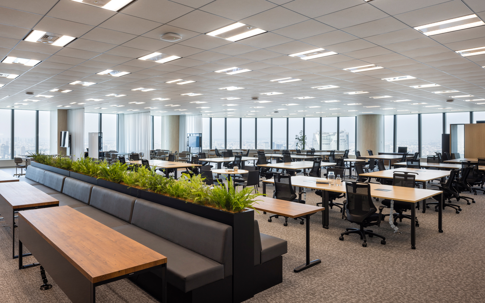 東京本社エリア