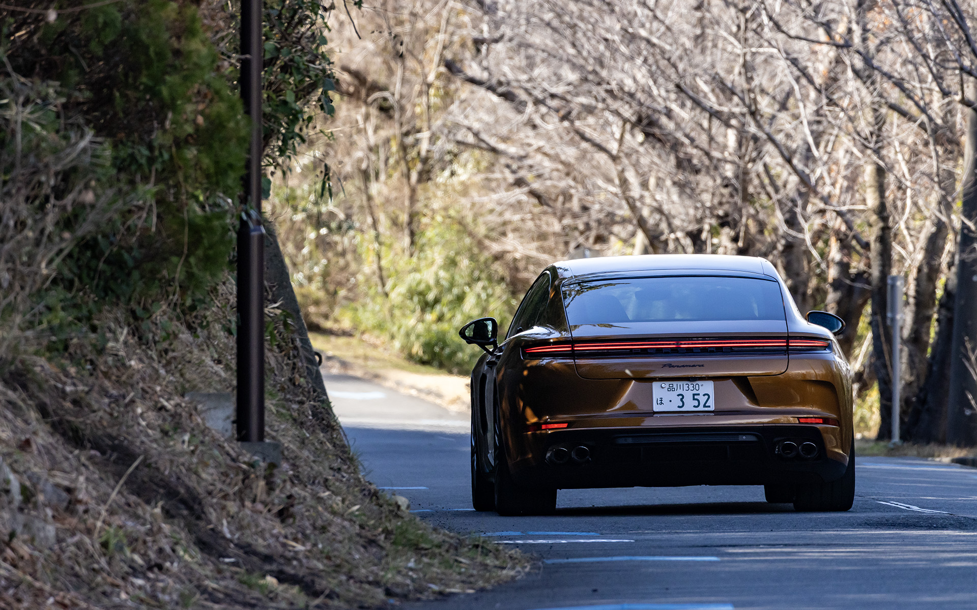 パナメーラからは見た目も中身も由来がスポーツカーにあるという主張がヒシヒシと伝わってきた