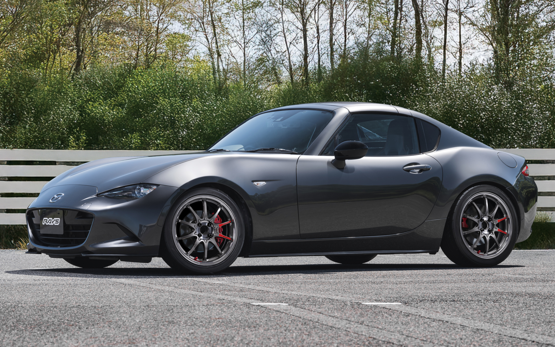 CE28N-plus SL（プレスドグラファイト）装着イメージ