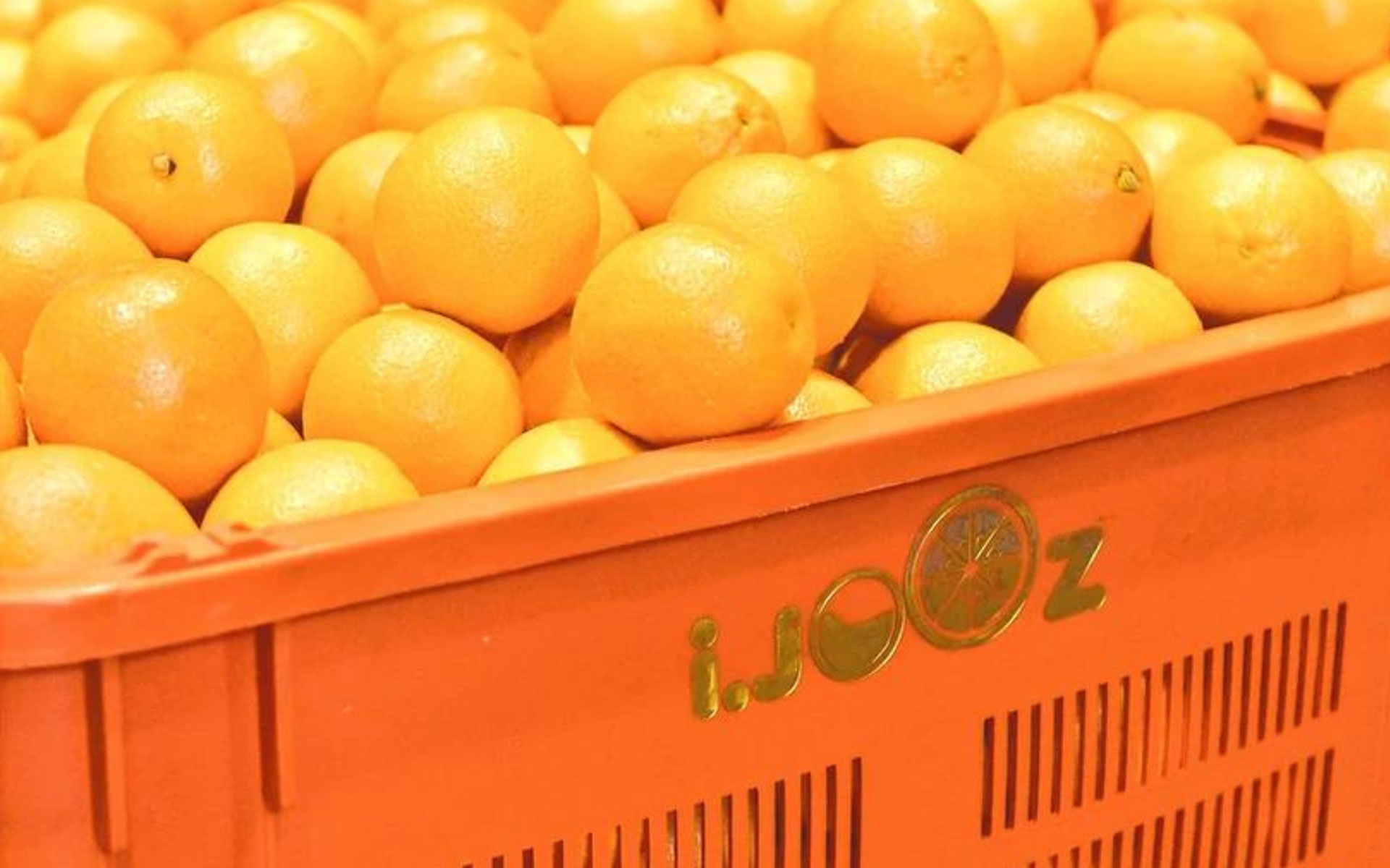 シンガポール発の生搾りオレンジジュース自動販売機を展開する「IJOOZ（アイジュース）」