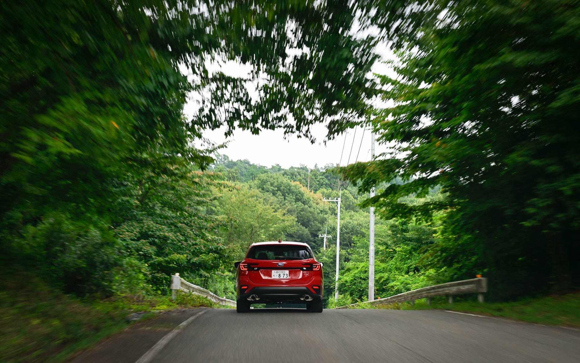 緑豊かな木々に囲まれた道が、まるでノルドシュライフェのよう