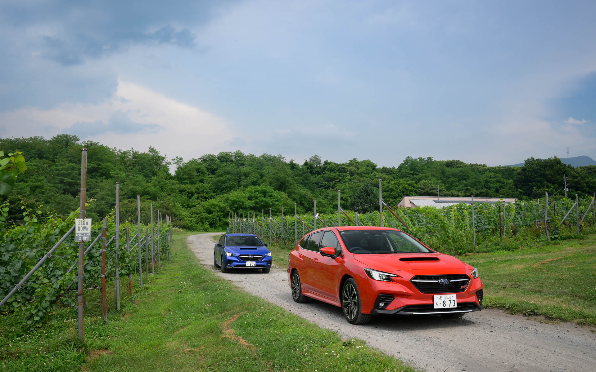 走りはもちろん、季節ごとの景色も楽しめるのがSUBAROADのよいところだと思う