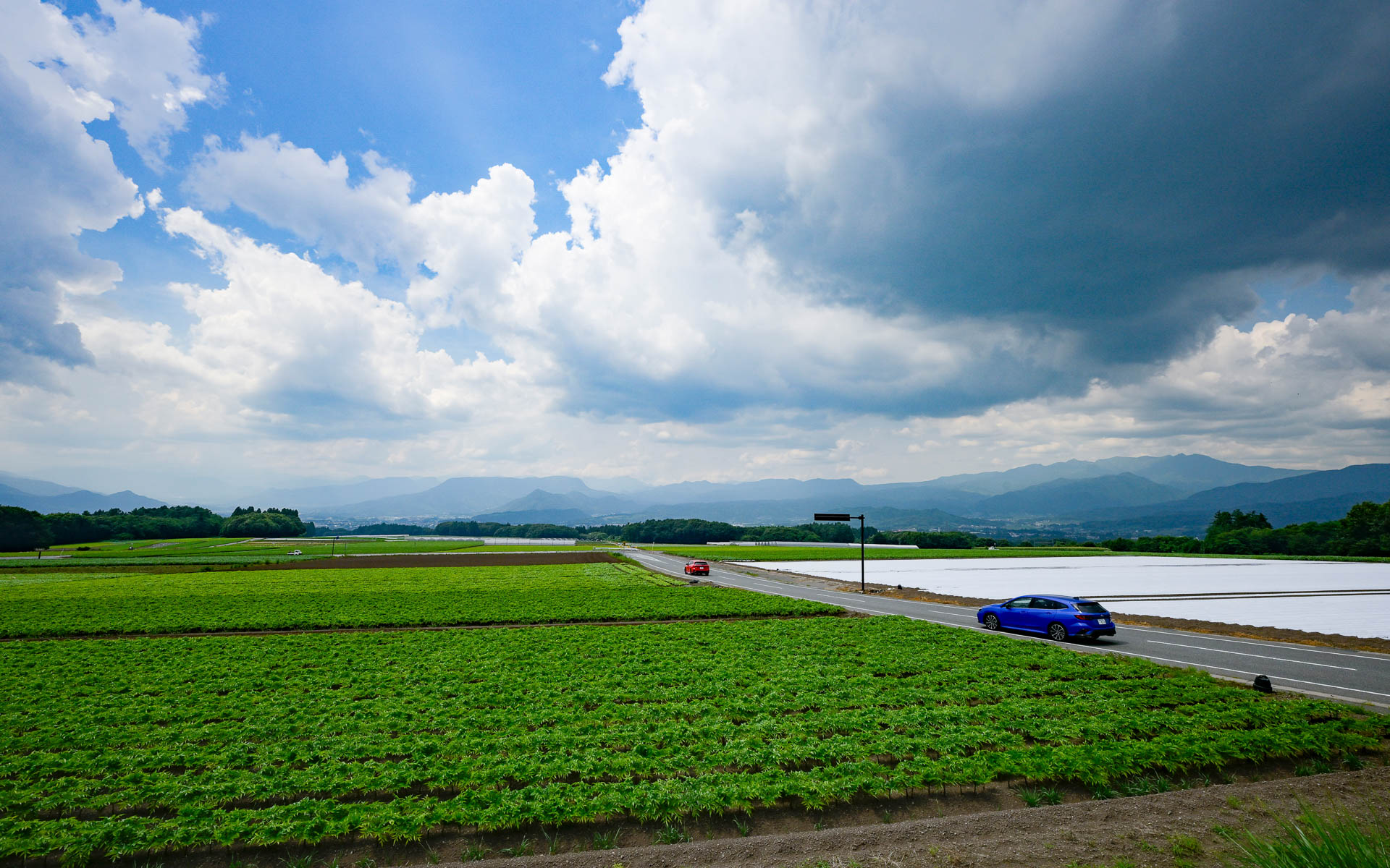 走りはもちろん、季節ごとの景色も楽しめるのがSUBAROADのよいところだと思う