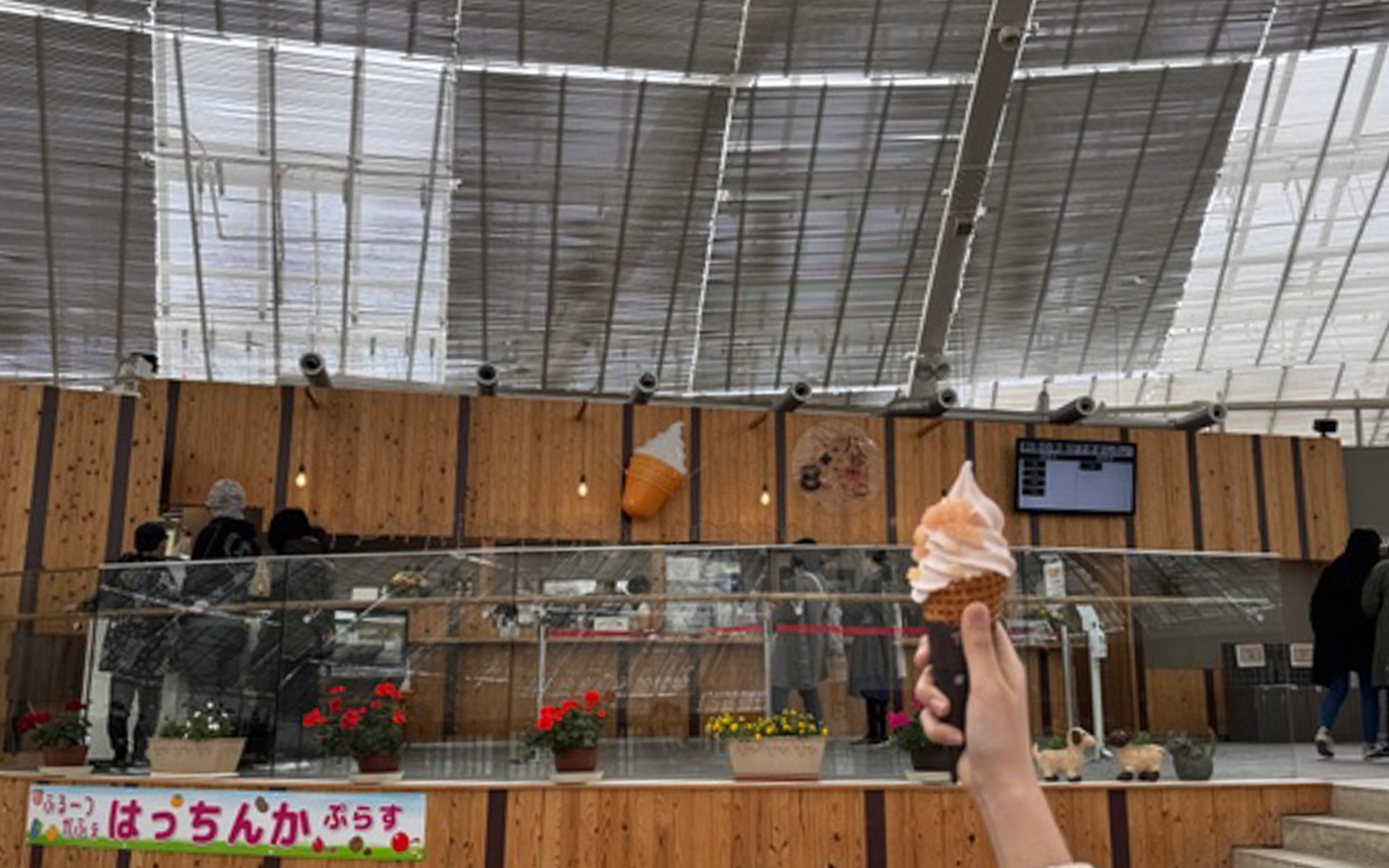 フルーツ公園のくだもの広場にある「フルーツカフェ　はっちんかプラス」は、森の屋内ステージのような、ちょっと面白い建物の中にあります。ひろびろしているスペースで、ちょっとひと息つくのもいいですよね