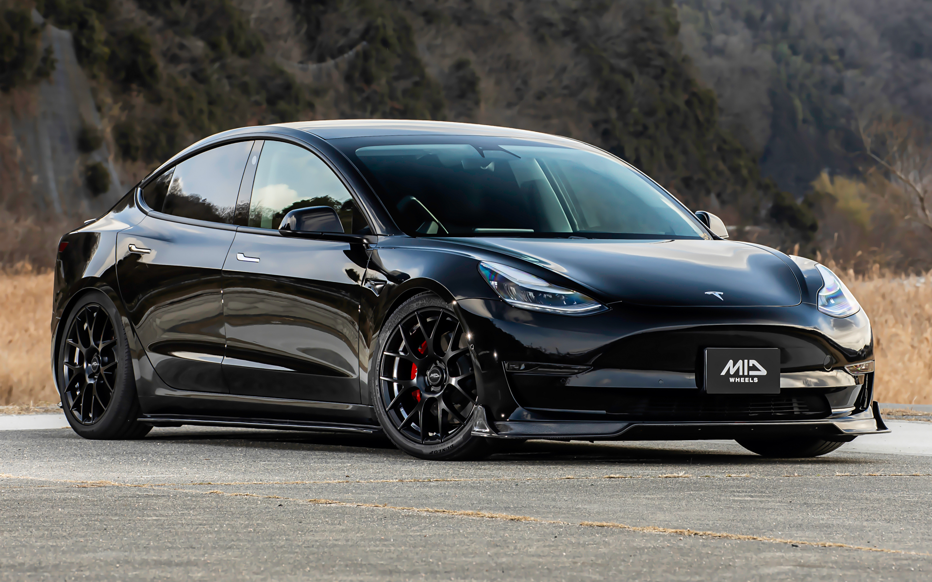 テスラ「モデル3」×TW027（セミグロスブラック/アンダーカット）装着イメージ