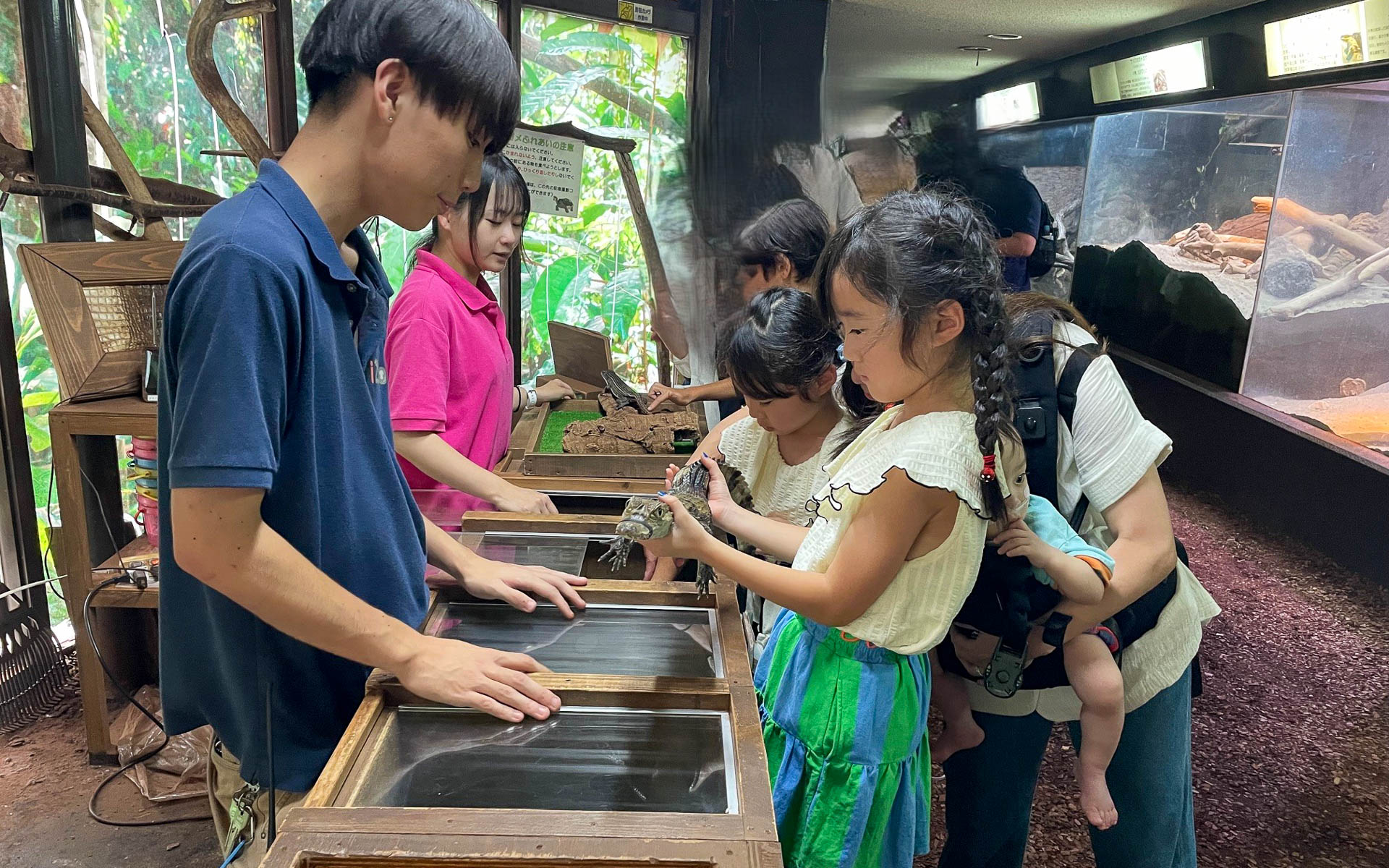 目の大きなかわいい子ワニにも触らせてもらえる。おっかなびっくりでも夏の思い出になりそう。ワニさんは交代で出演しているよう