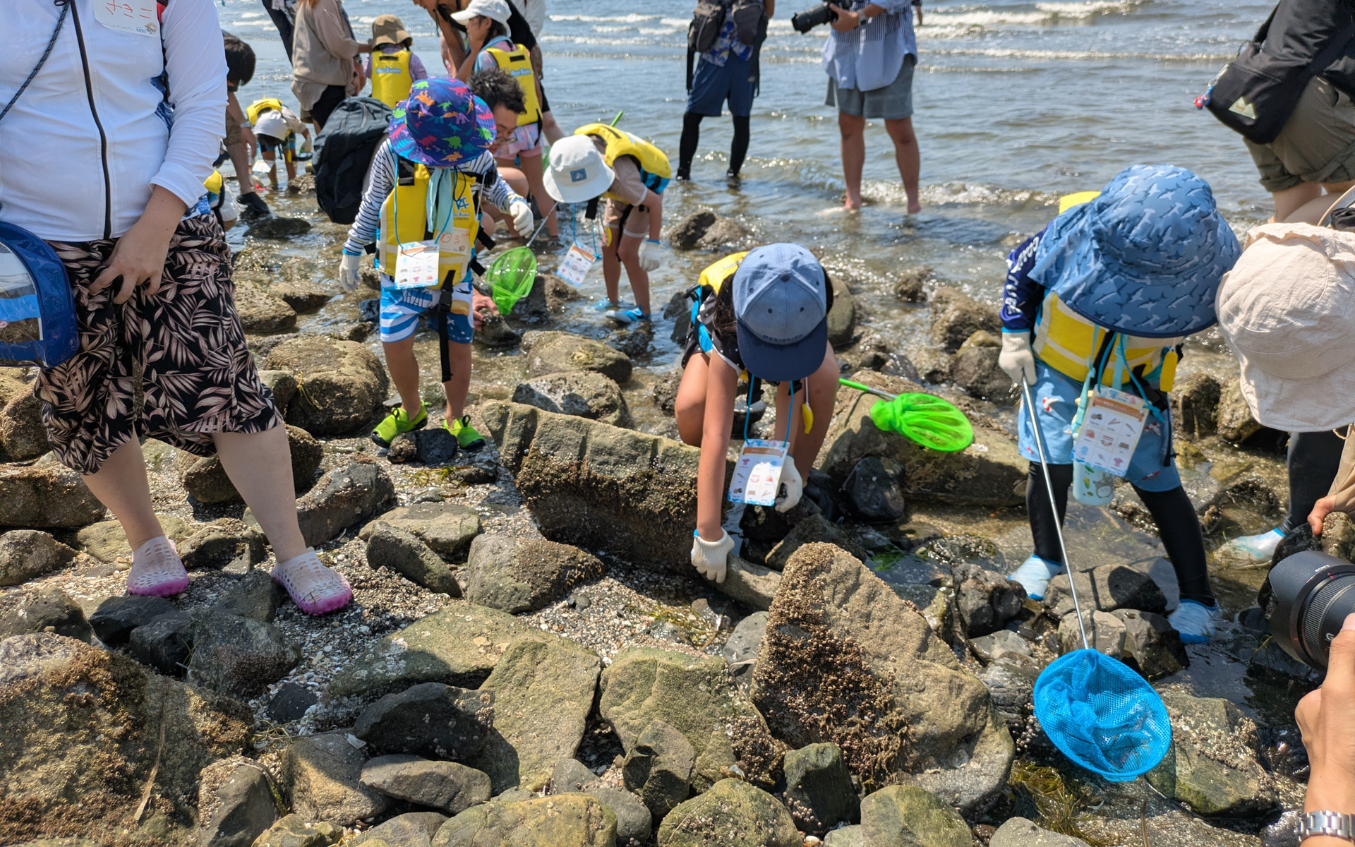 海辺に転がっている石をひっくり返すと、カニや貝といった生き物を見つけやすいとのアドバイスがあり、親子で協力しながら散策を楽しんでいた