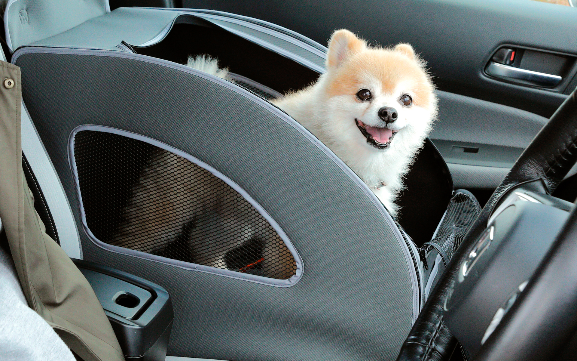 Honda Dogブランドからは、ペットシートプラスわん２／ペットシートマット／ペットシートサークル／ペットドアライニングカバー／ペット車外飛び出し防止リード／ペットセレクトノブ（肉球）／ペットインテリアステッカー（肉球）／ペットセンターキャップ（肉球）／ペットキーカバー（肉球）／ペットエンブレム（肉球デザイン/Honda Dogデザイン）などが展示される