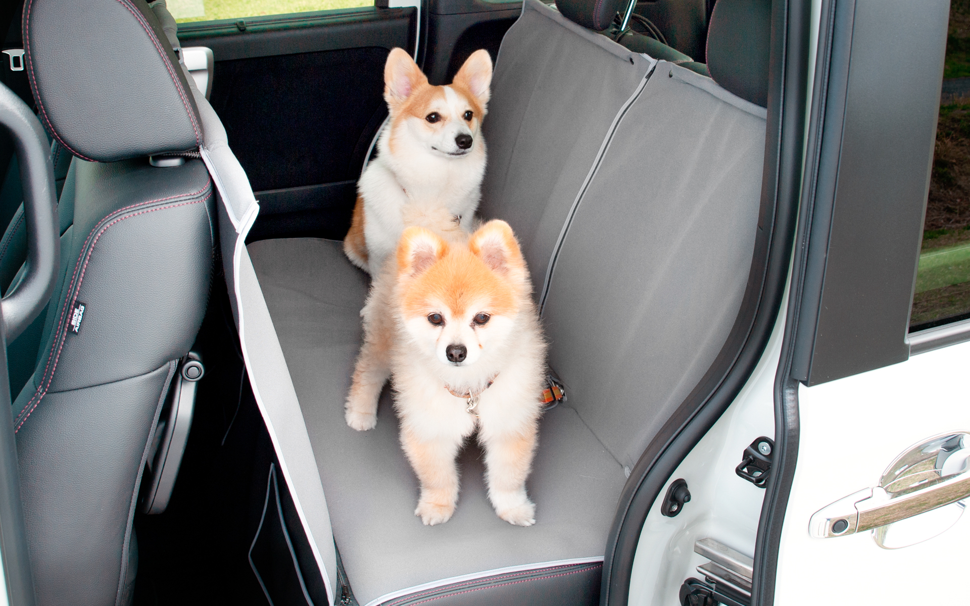 ホンダアクセスが手掛ける愛犬家応援ブランド「Honda Dog」がアウトドアドッグフェスタin八ヶ岳2025に出展する