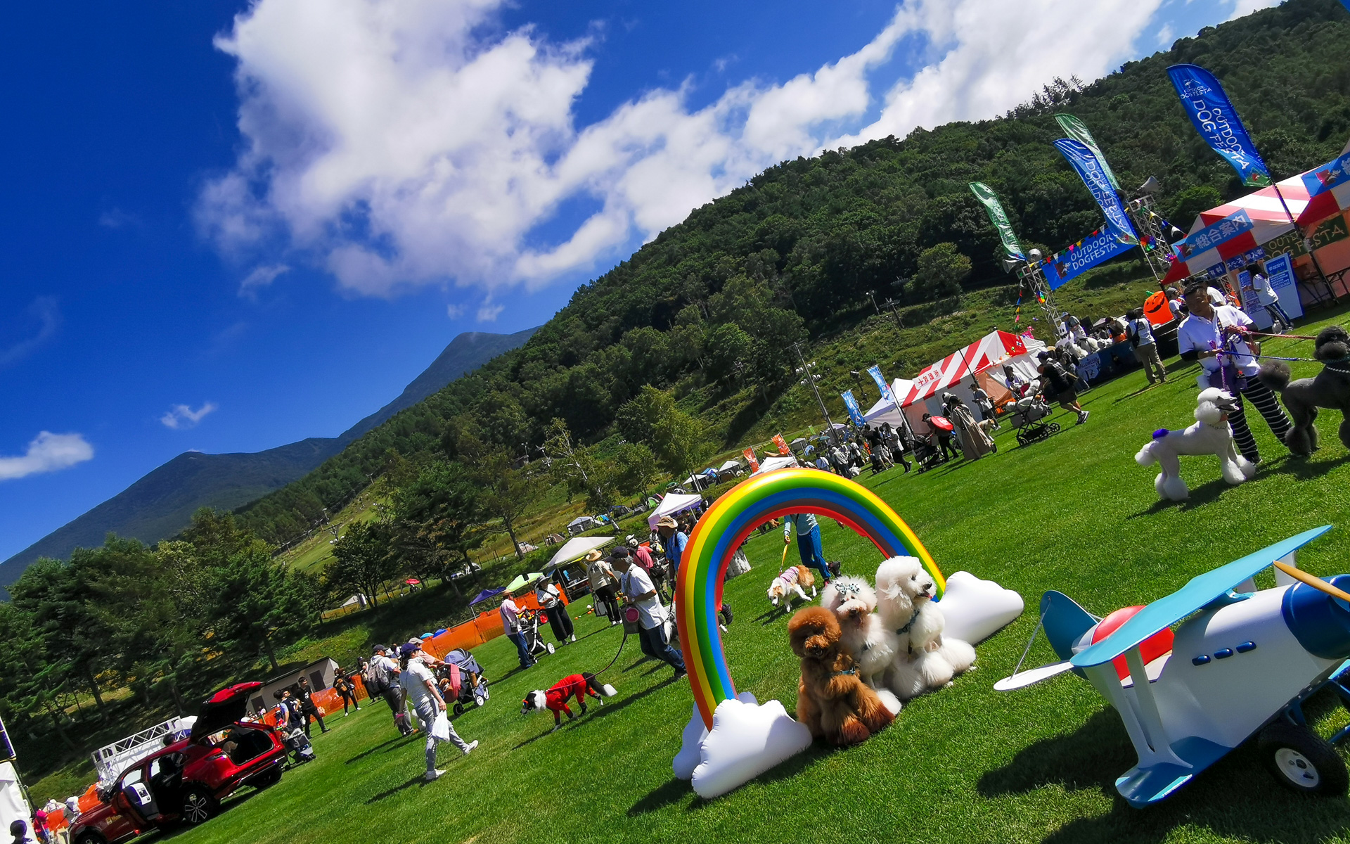 過去のイベントの様子