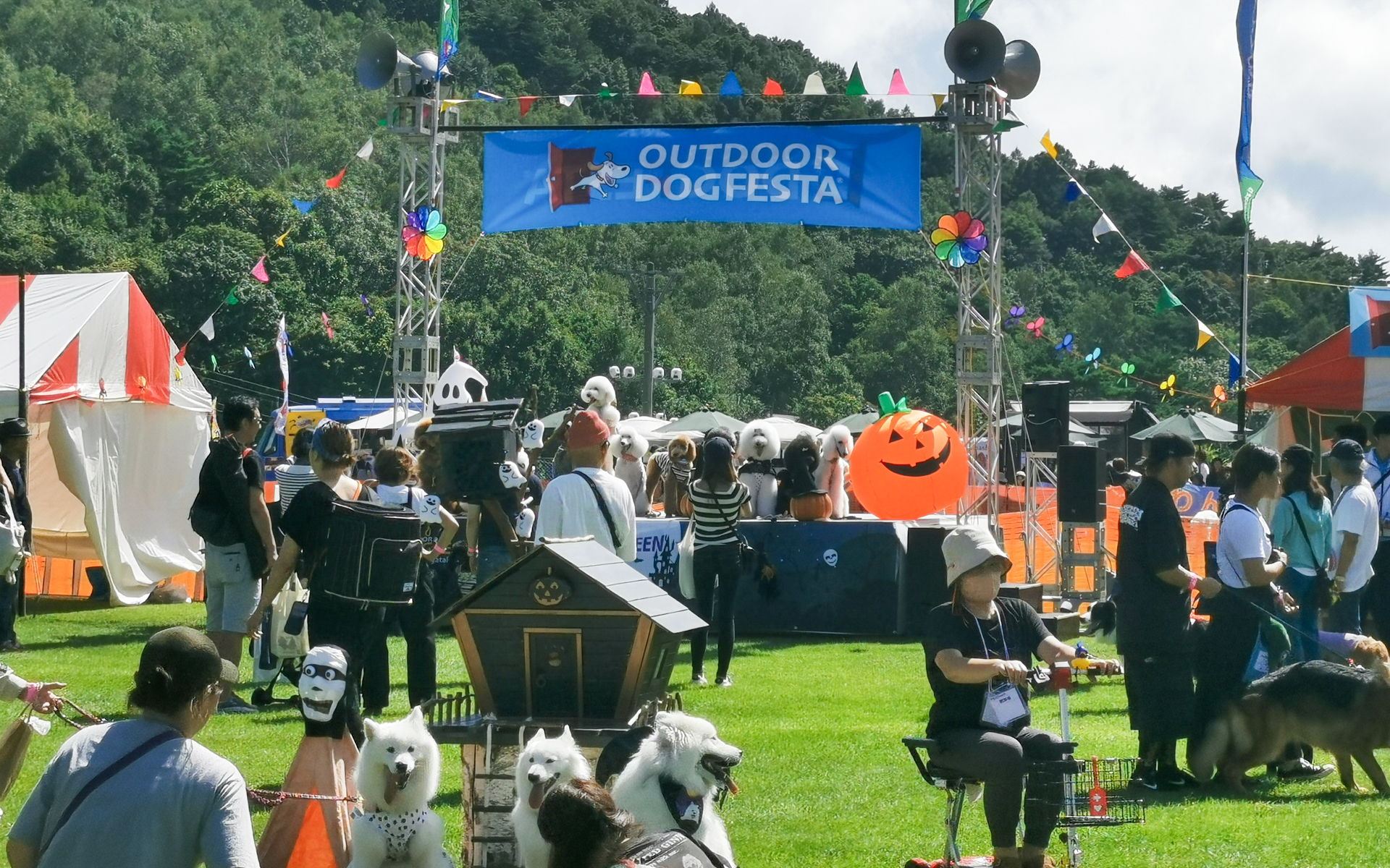 過去のイベントの様子