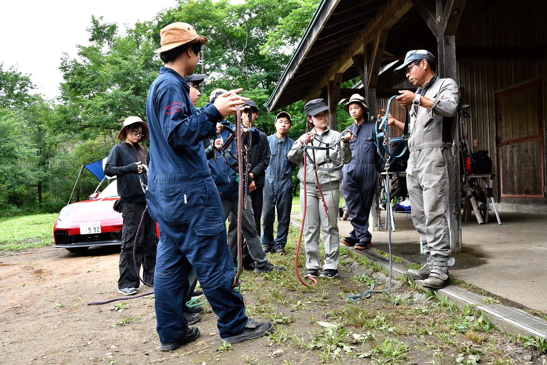 馬を捕まえに森へ