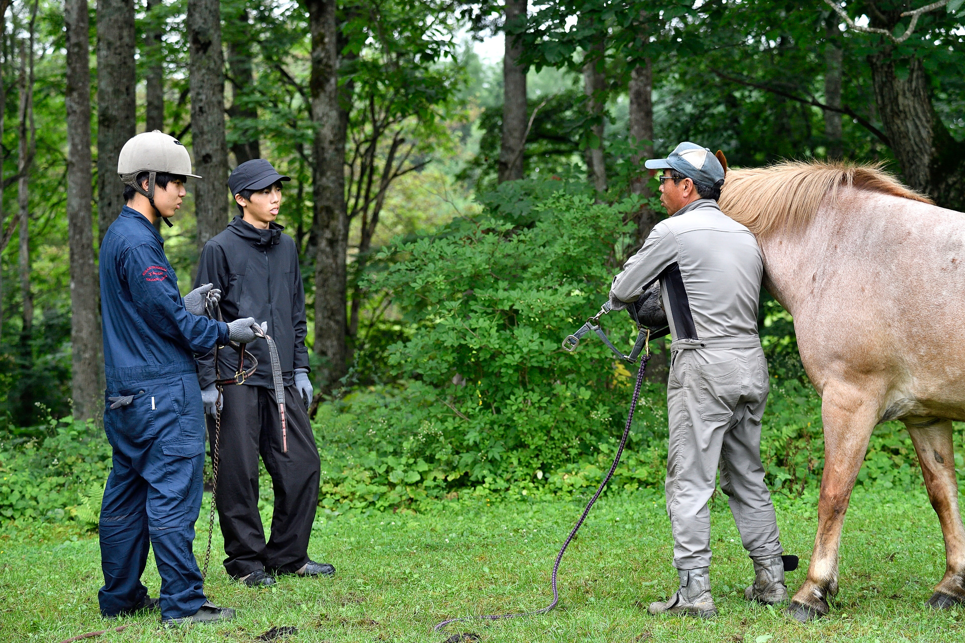 四苦八苦しながら馬を捕まえる子どもたち