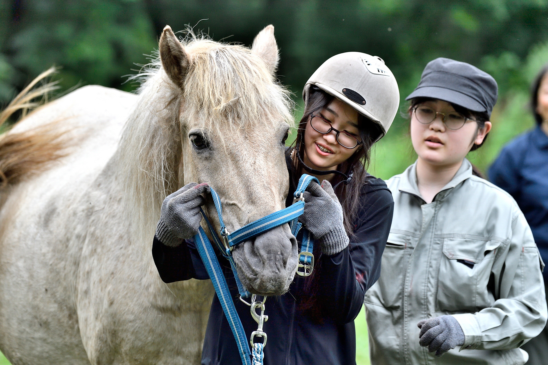四苦八苦しながら馬を捕まえる子どもたち