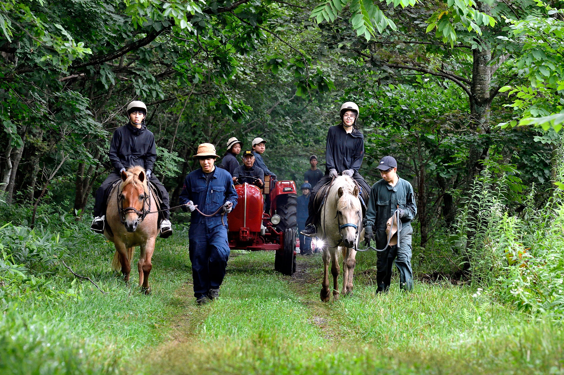 捕まえた馬とともにトレーラーを装着したポルシェトラクター、最新の911が連なり森へ入っていく