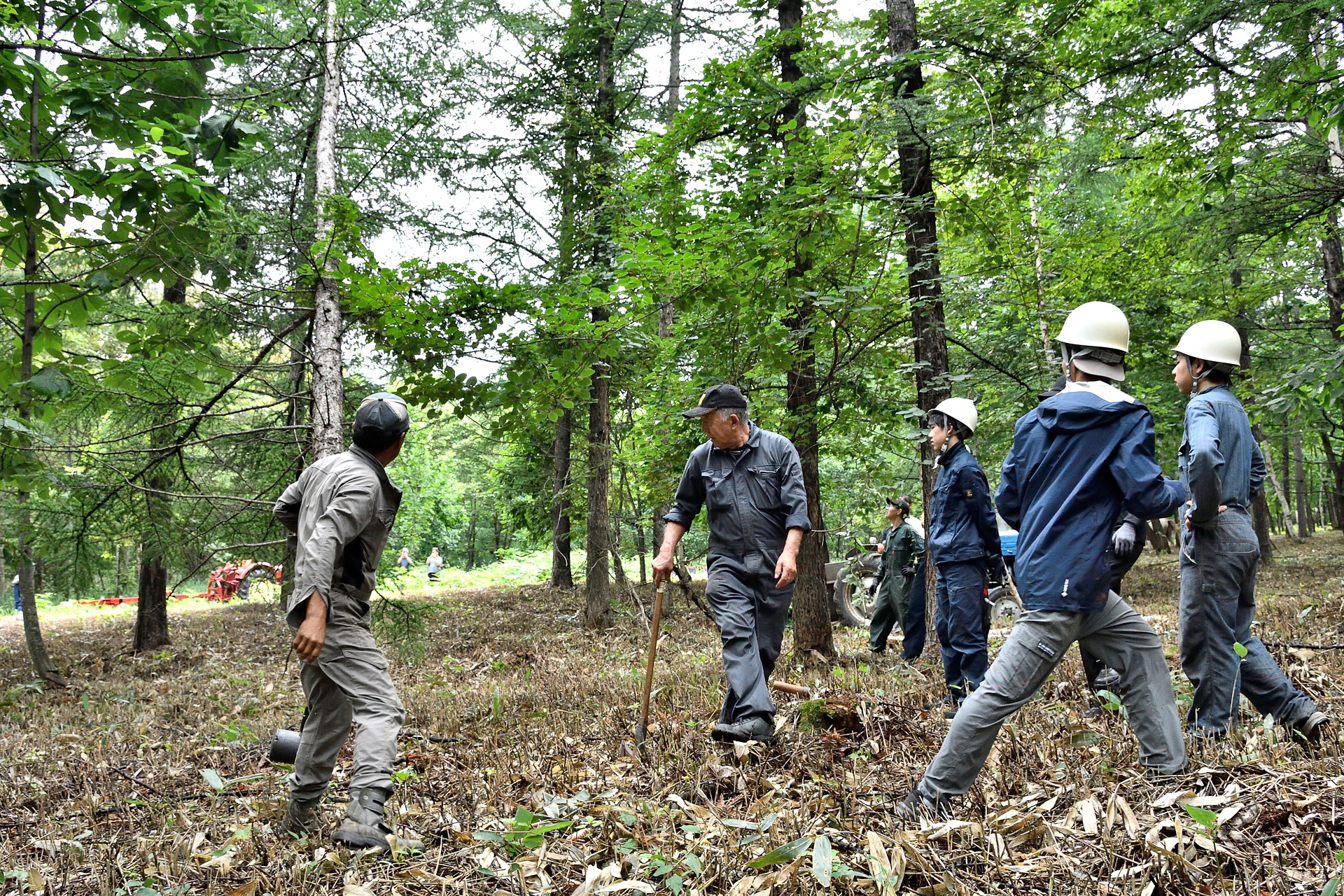 想像以上に困難を極めた木を切るという作業。時間はかかったが無事倒すことができた