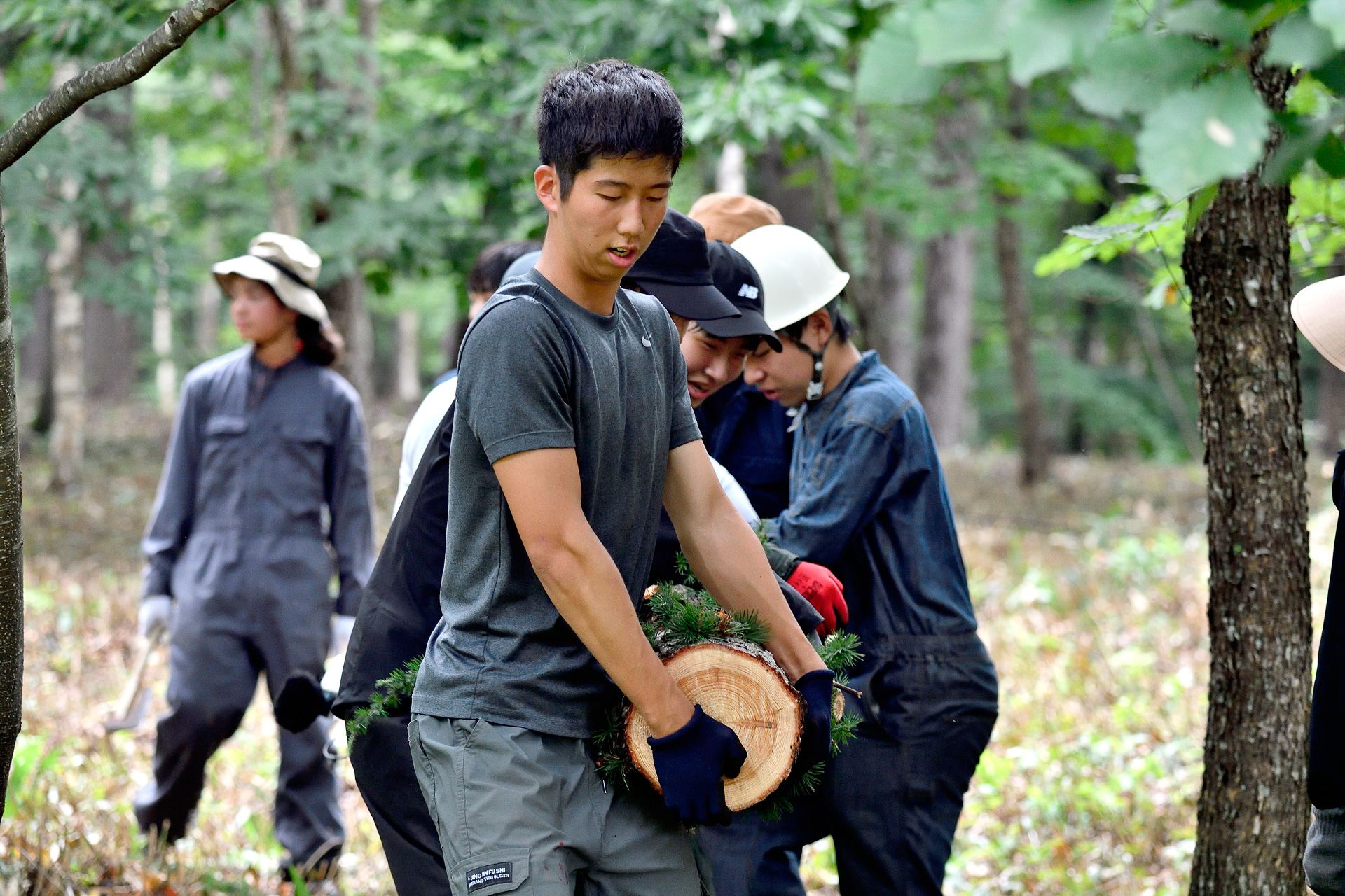 木を倒したあとも作業は続く。いくつかの丸太にカットして、枝葉は全て手作業で落としていったが、これが重労働