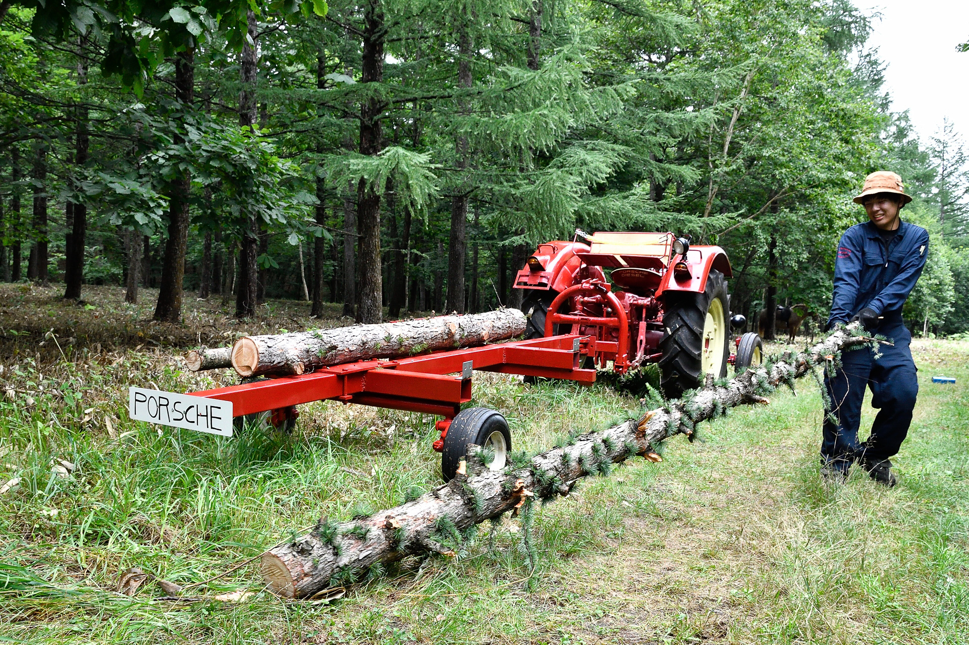 木を倒したあとも作業は続く。いくつかの丸太にカットして、枝葉は全て手作業で落としていったが、これが重労働