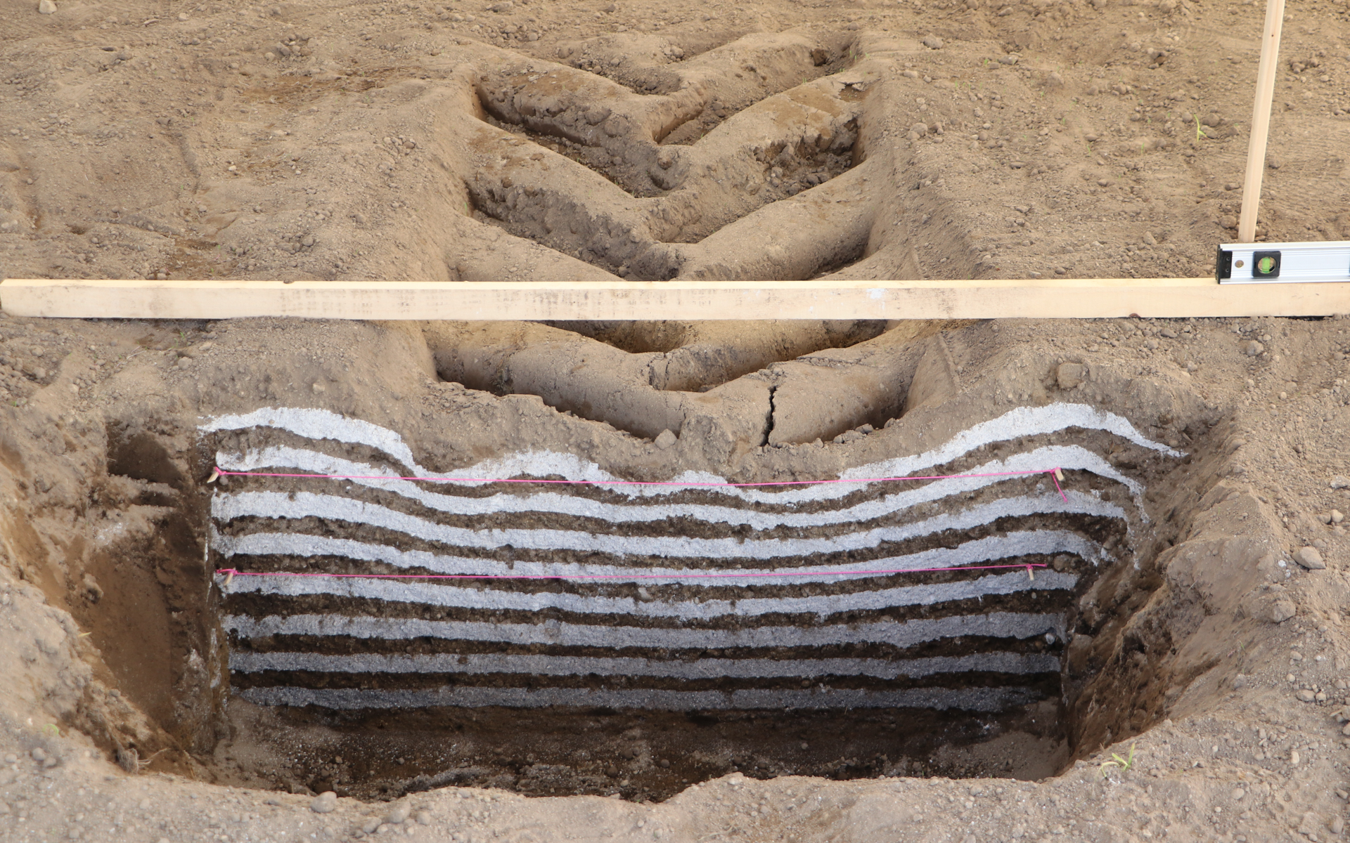 VFタイヤ「AXIOBIB 2」が適正空気圧60kPaで走行したソイルコンパンクション。上から4番目の白線は下のピンクの糸より下には沈み込んでいない