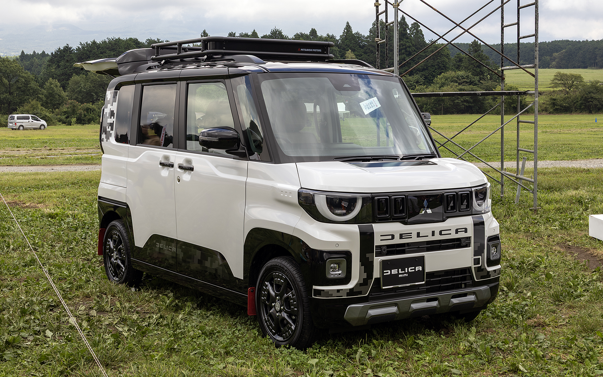 ホワイトパール/ブラックマイカ（有料色）