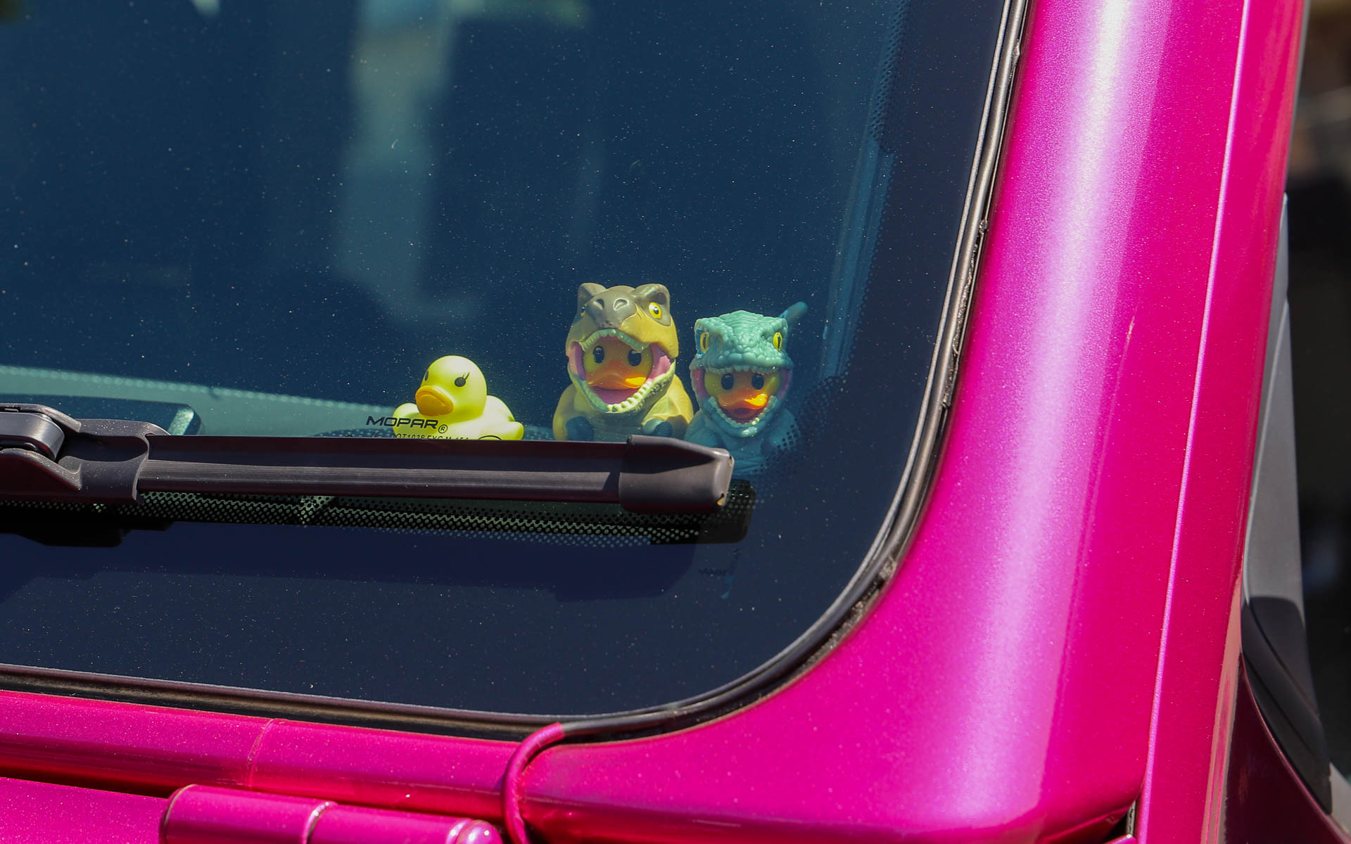 ピンクラングラーにもアヒルのおもちゃが乗っていた。また、映画「ジュラシック・ワールド／復活の大地」にラングラーが登場することから、恐竜の姿をしたアヒルのおもちゃも隣に並んでいた