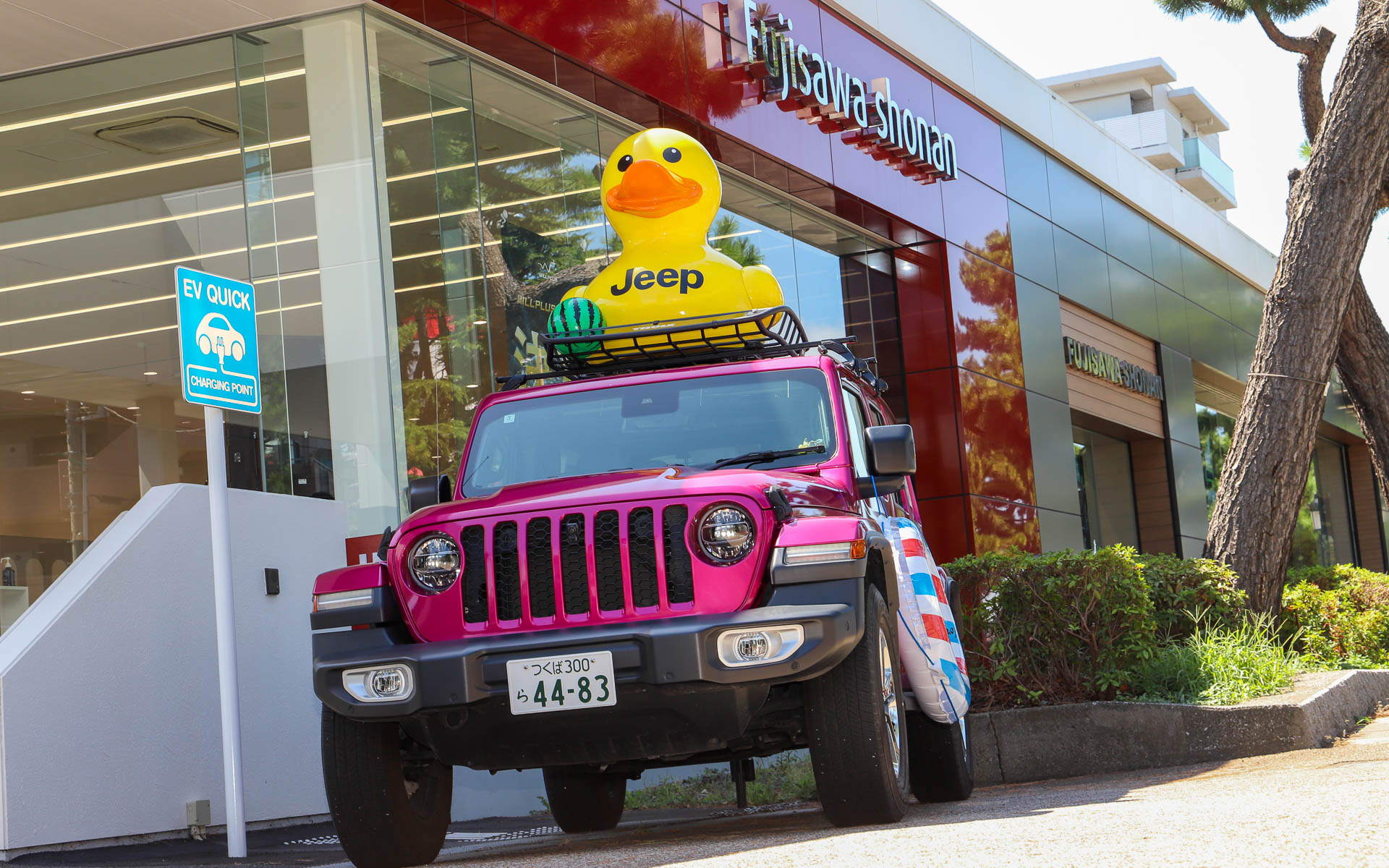 ルーフに巨大なアヒルを載せたピンクラングラーは、ジープ藤沢湘南の店舗入口に展示され、道行く人の目を引いていた。展示中はスイカのビーチボールで夏を演出