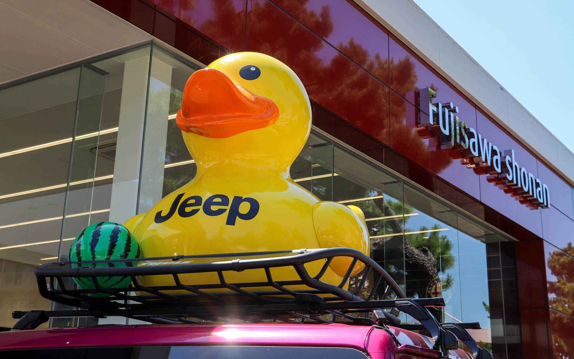 ルーフに巨大なアヒルを載せたピンクラングラーは、ジープ藤沢湘南の店舗入口に展示され、道行く人の目を引いていた。展示中はスイカのビーチボールで夏を演出